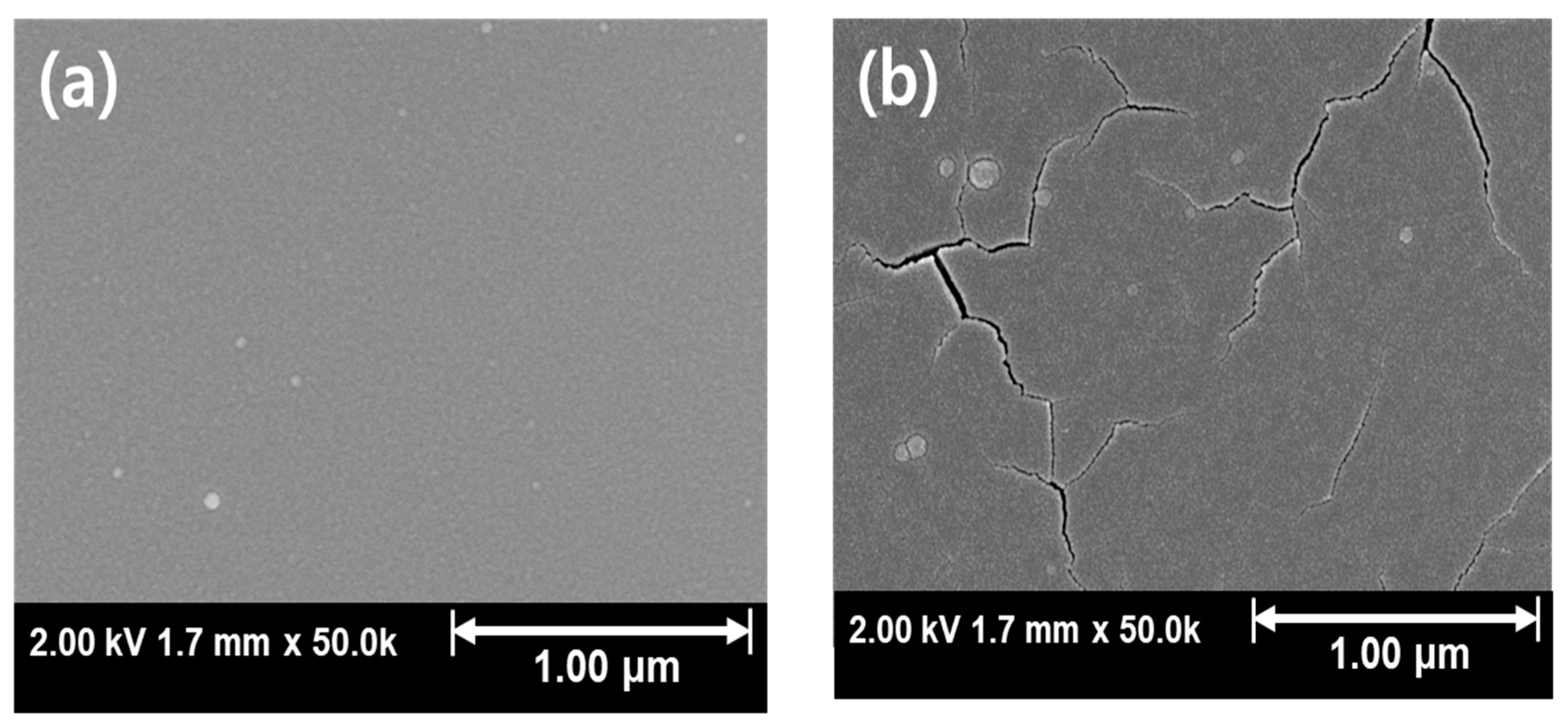 Coatings 15 01181 g005a