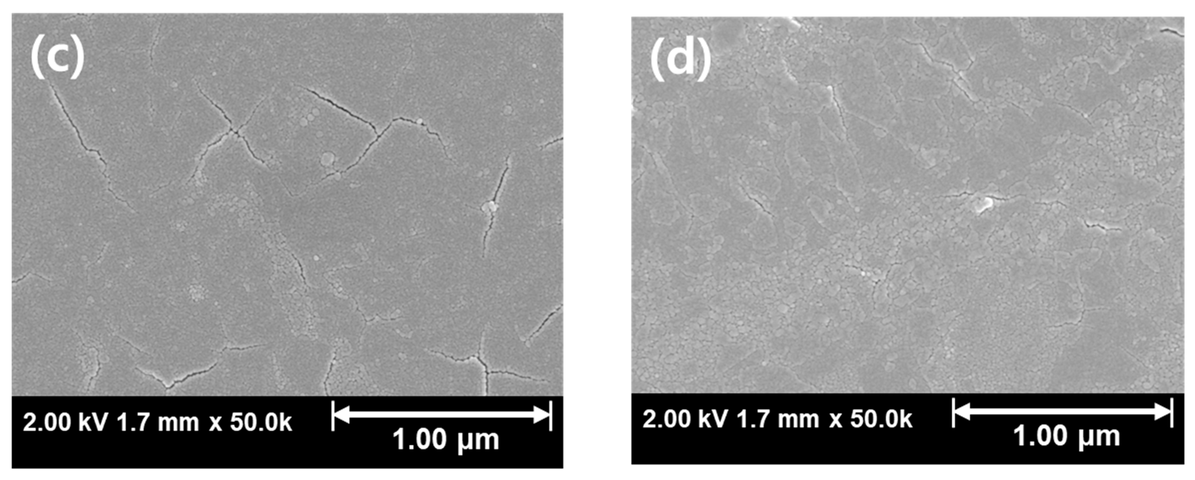 Coatings 15 01181 g005b