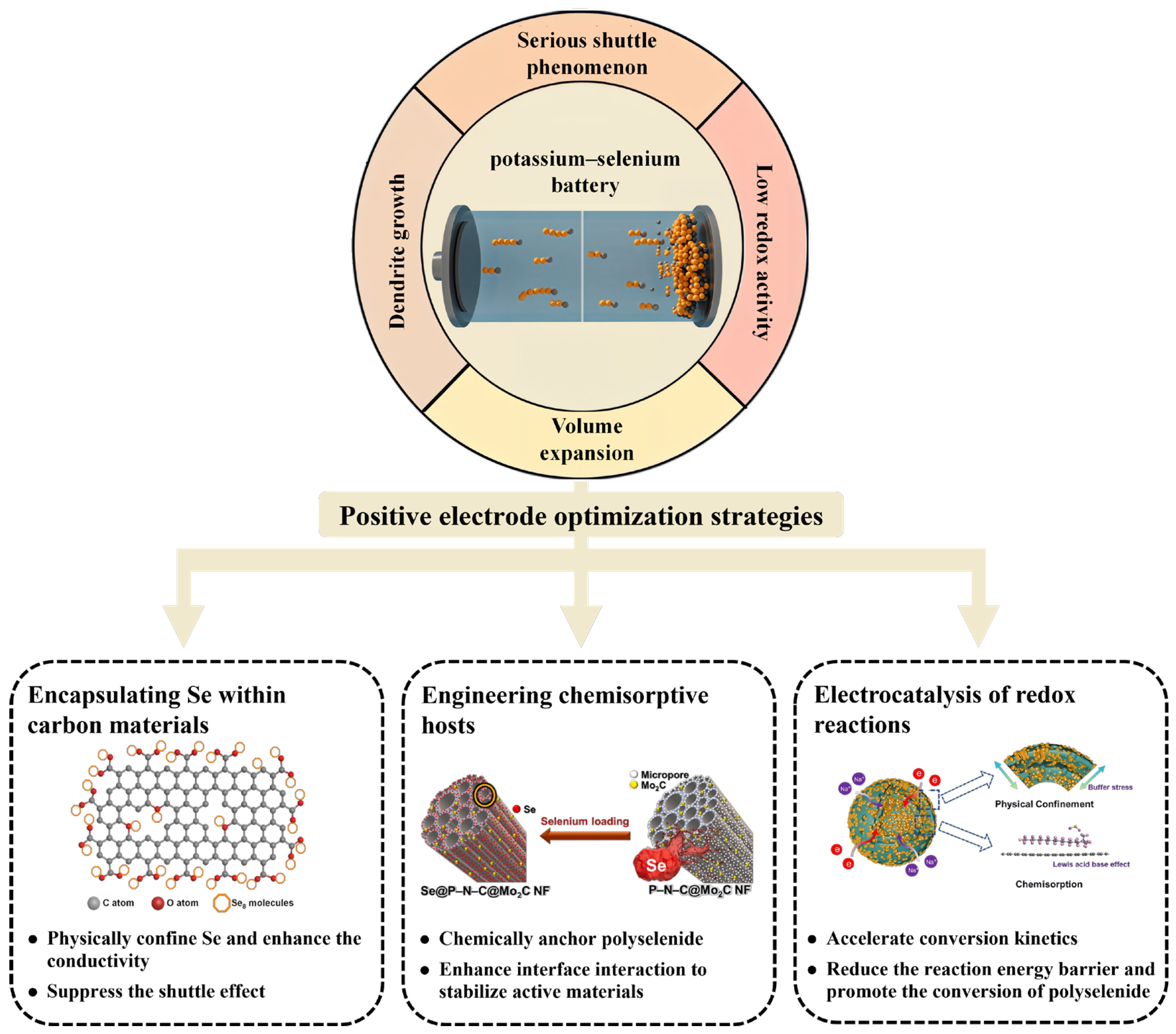 Coatings 15 01183 g001