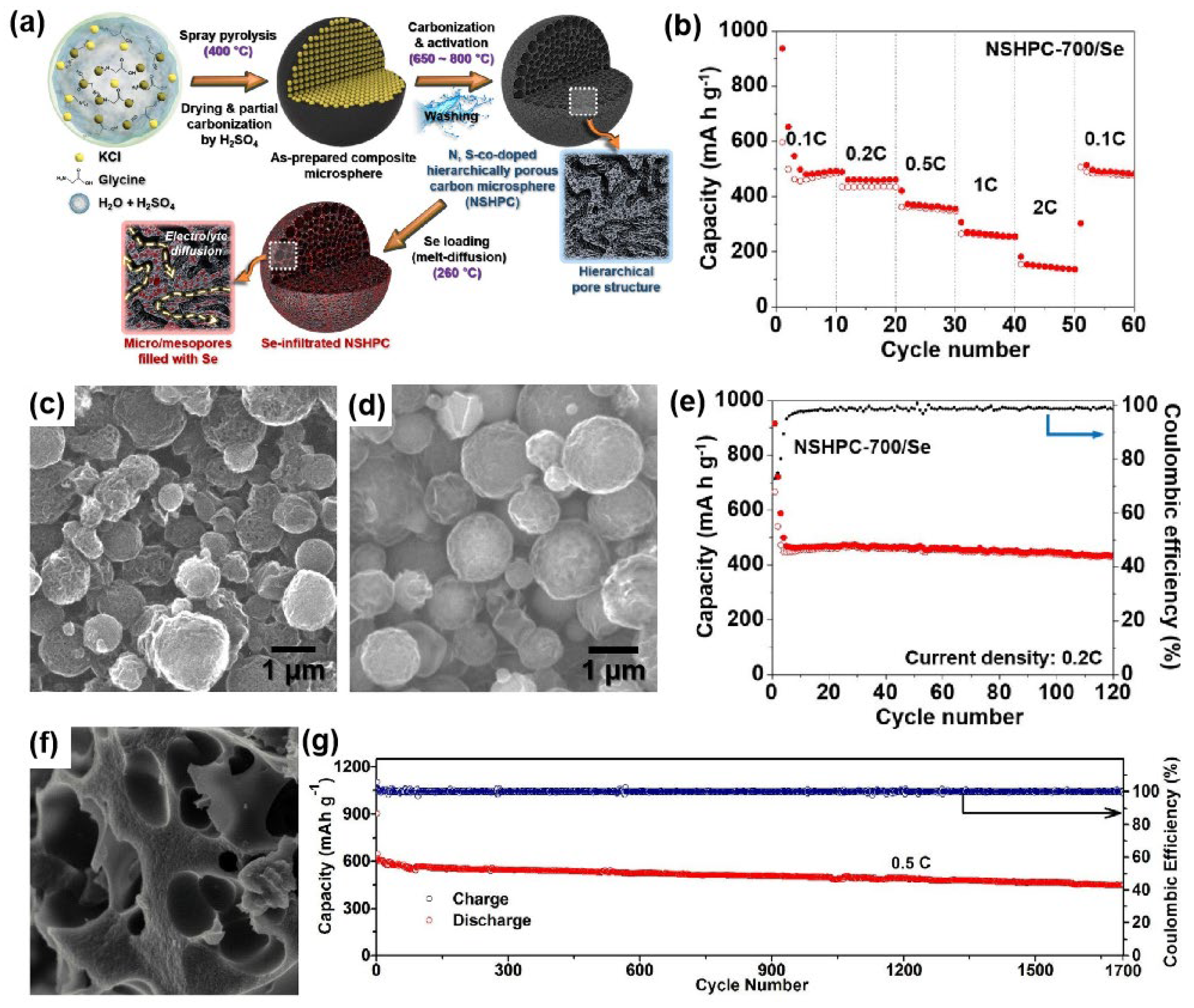 Coatings 15 01183 g003