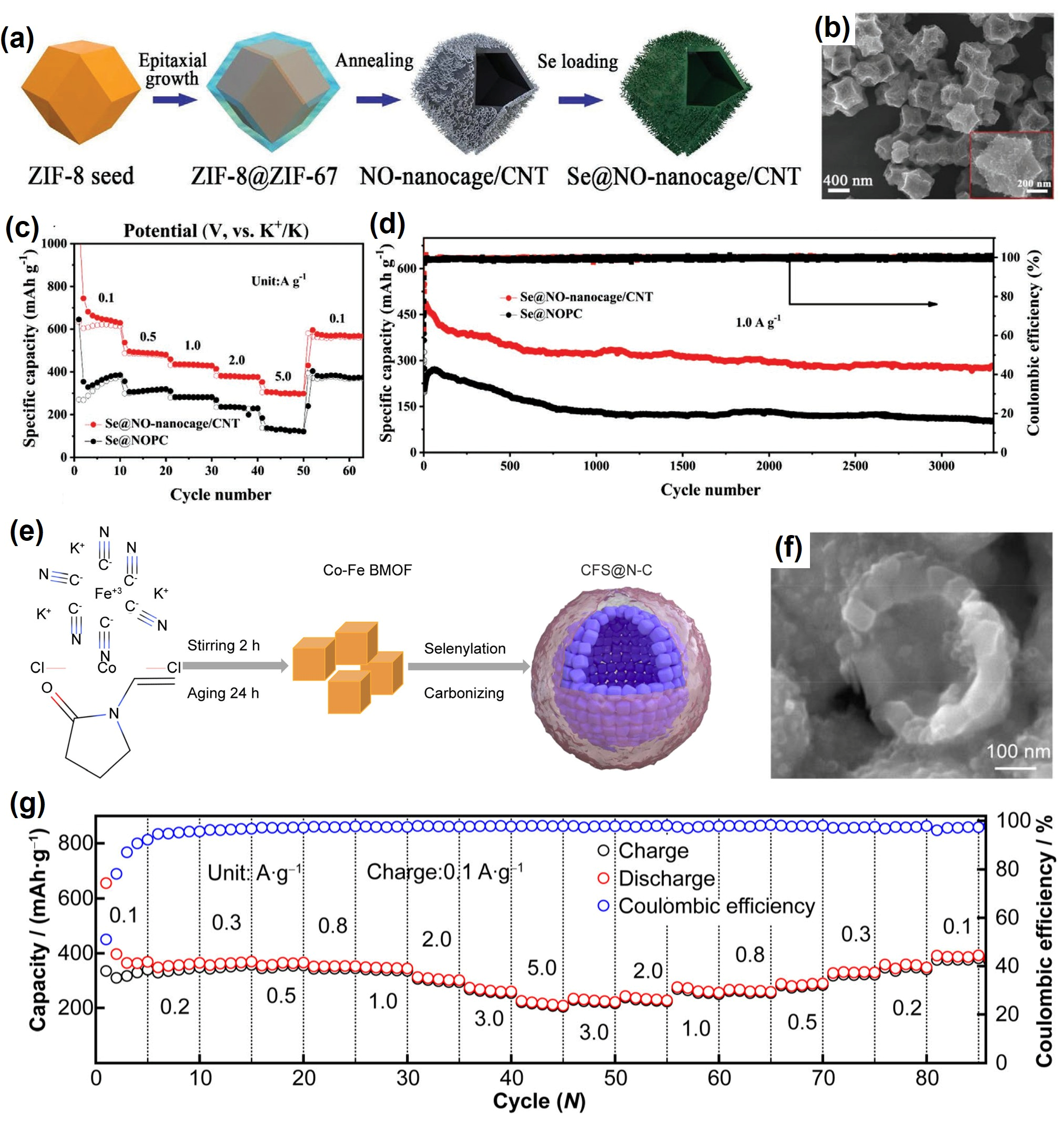 Coatings 15 01183 g004