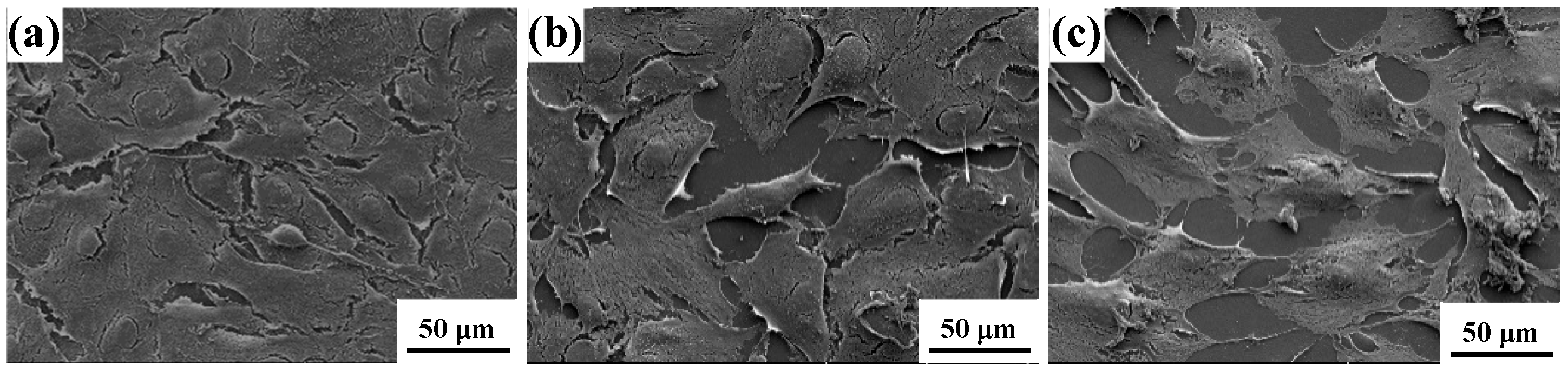 Coatings 15 01184 g007
