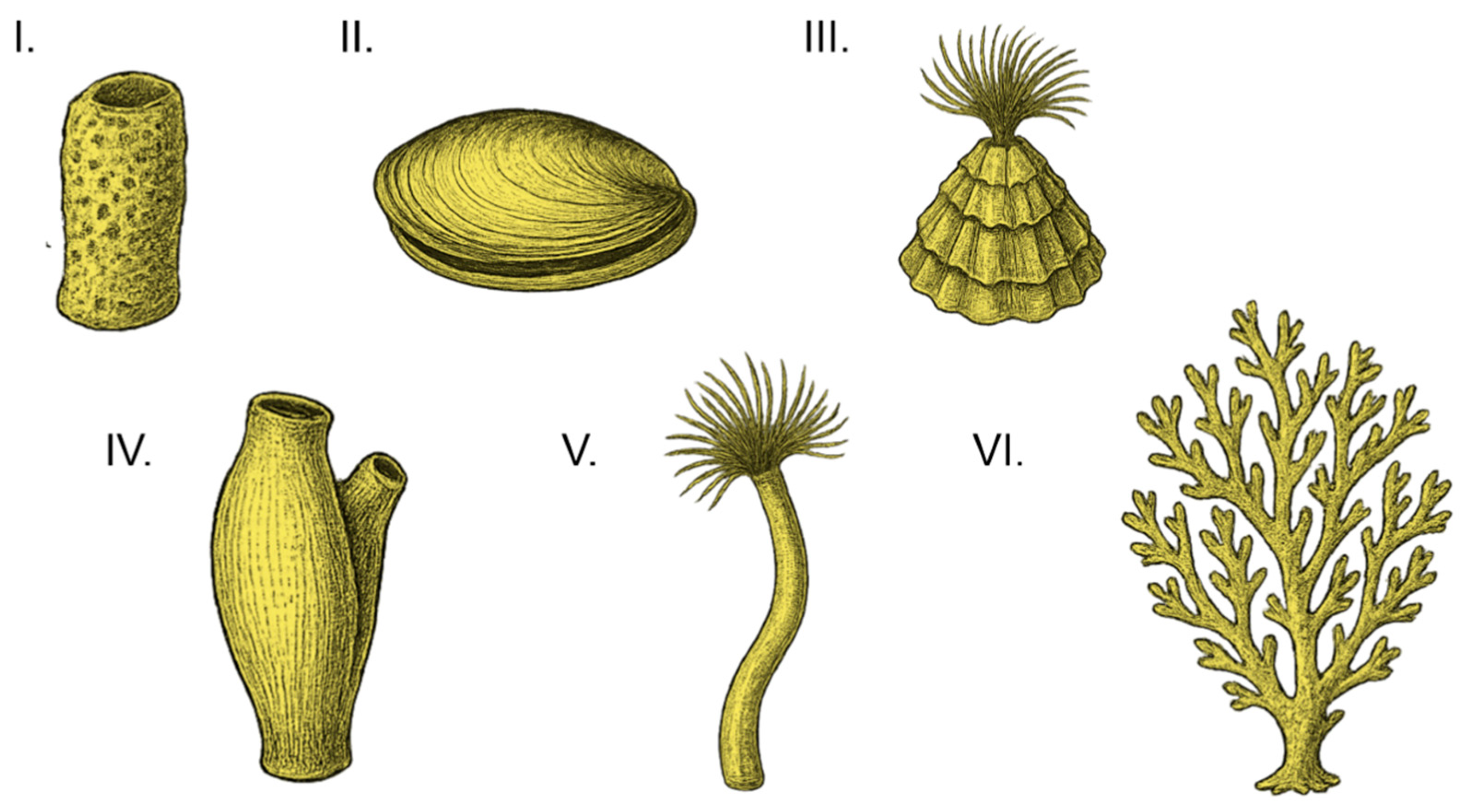 Coatings 15 01185 g009 Coatings 15 01185 g009