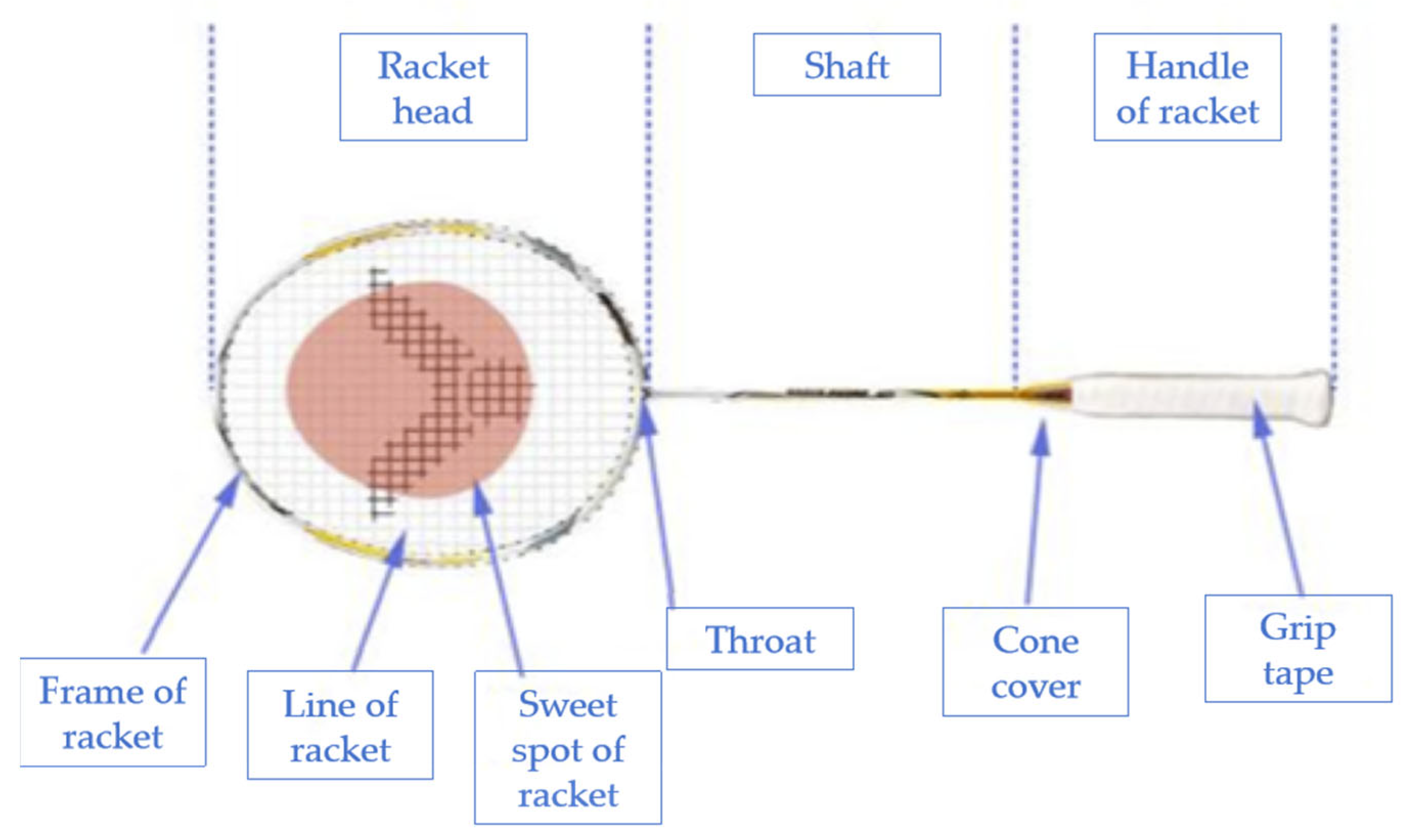 Coatings 15 01186 g001 Coatings 15 01186 g001
