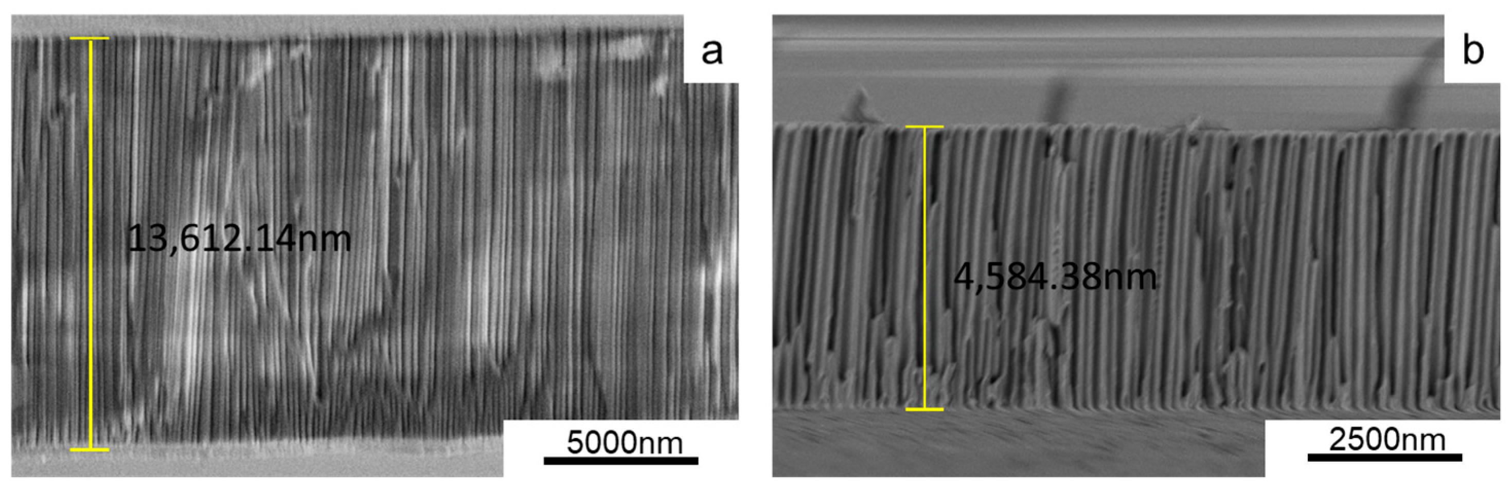 Coatings 15 01187 g009 Coatings 15 01187 g009