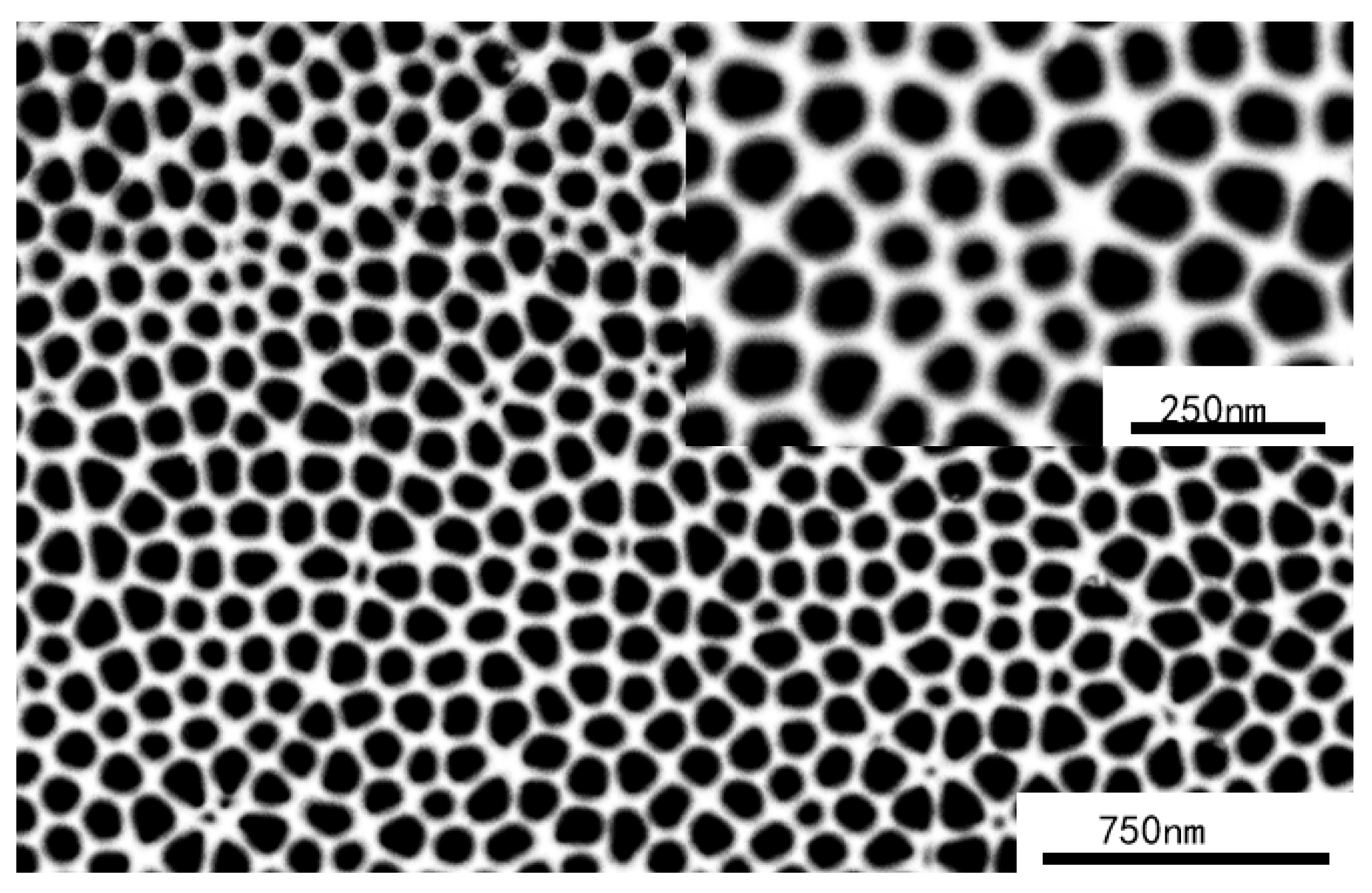 Coatings 15 01187 g010 Coatings 15 01187 g010