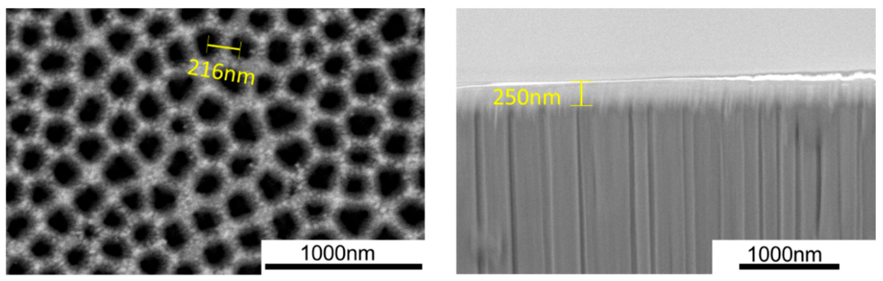 Coatings 15 01187 g011 Coatings 15 01187 g011
