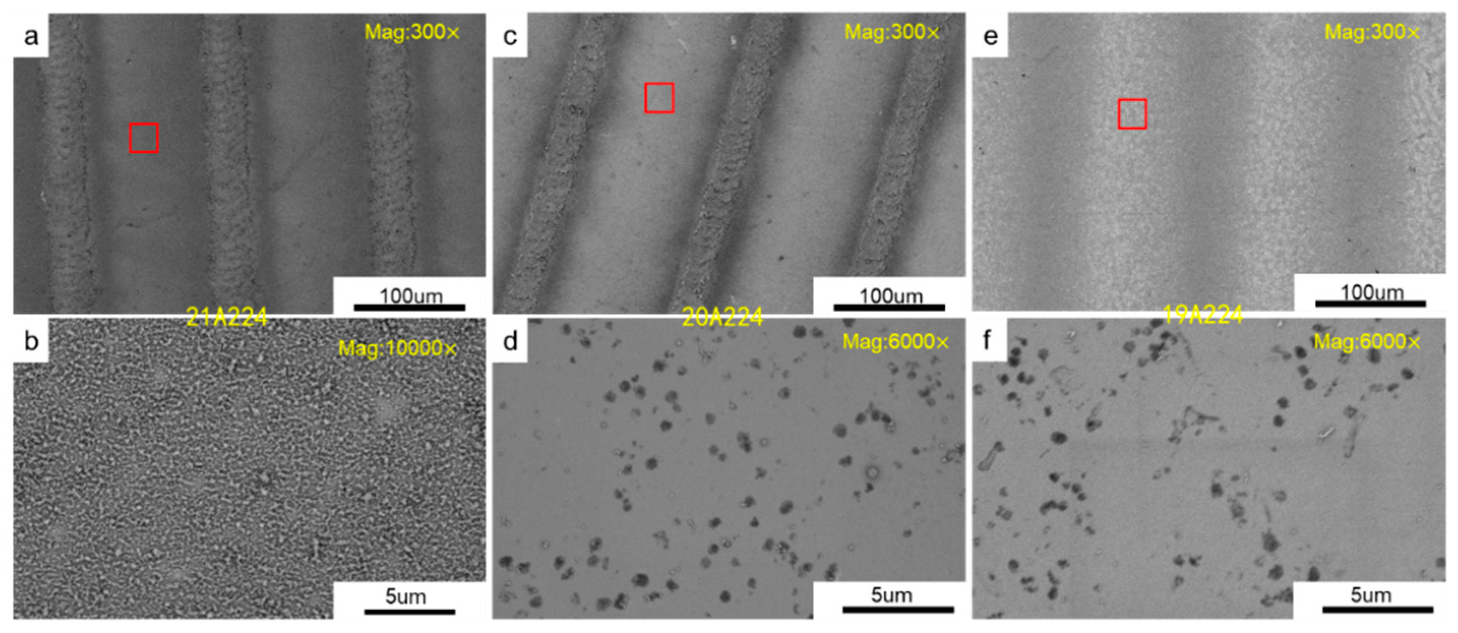 Coatings 15 01187 g012 Coatings 15 01187 g012