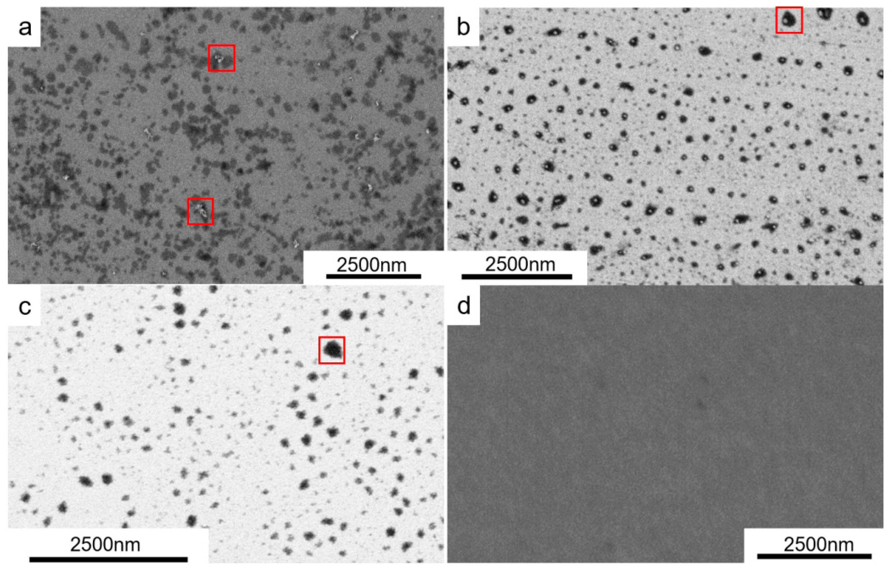 Coatings 15 01187 g014 Coatings 15 01187 g014