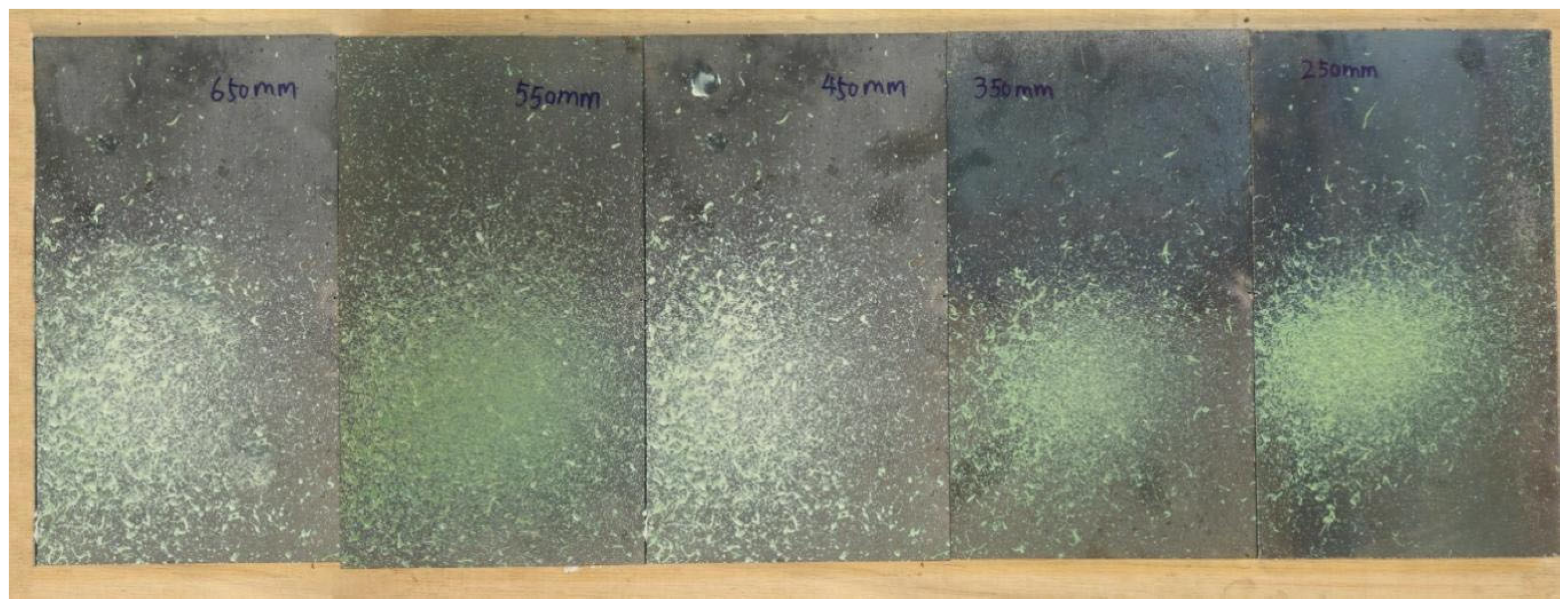 Coatings 15 01193 g017