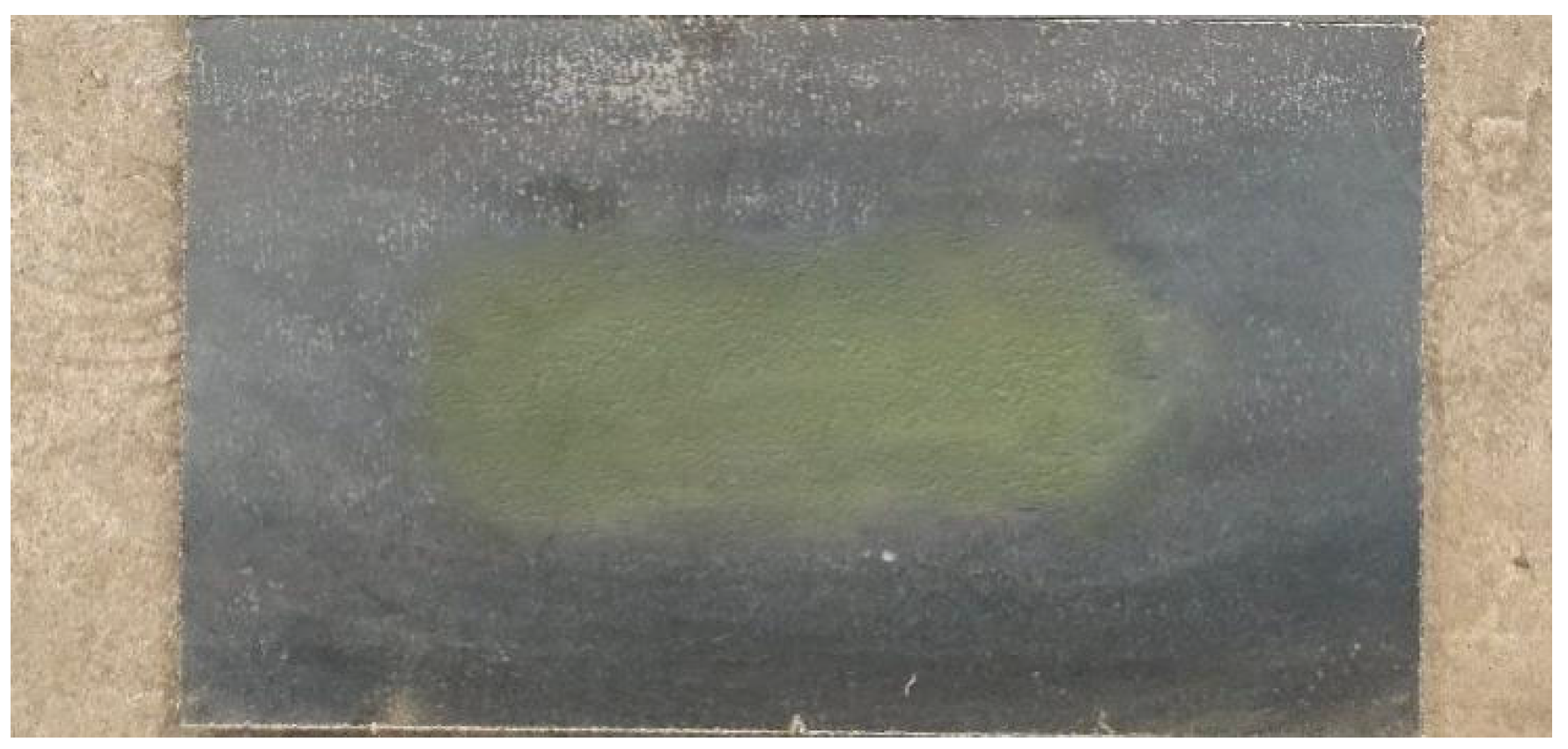 Coatings 15 01193 g018