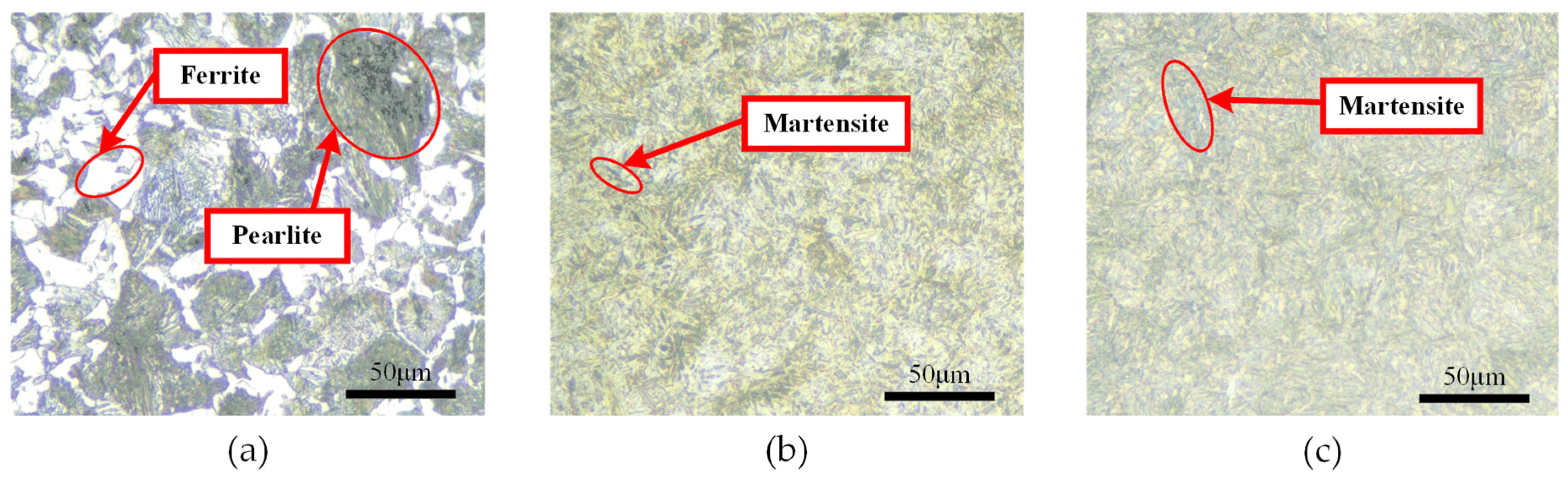 Coatings 15 01196 g003