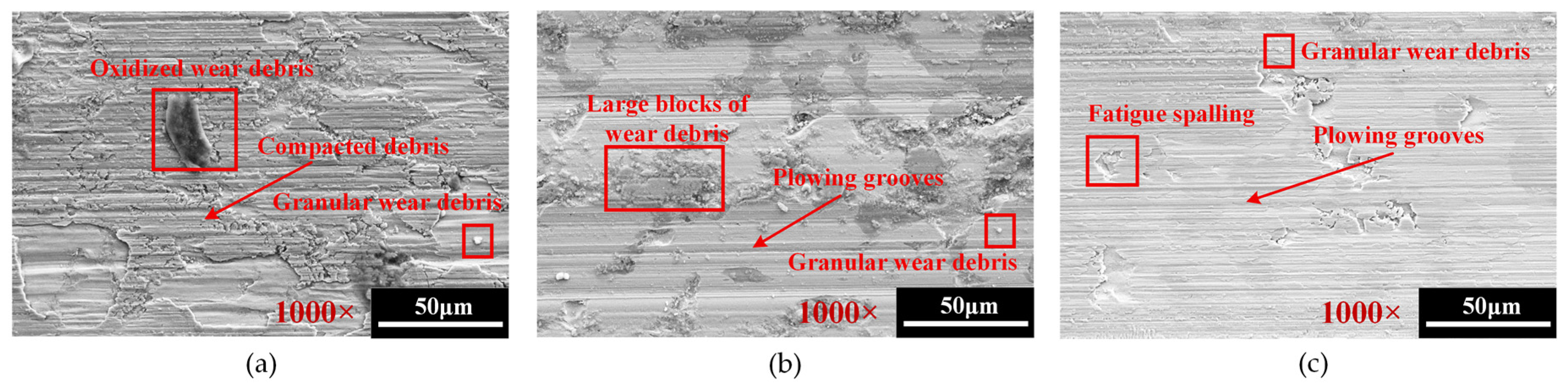 Coatings 15 01196 g006