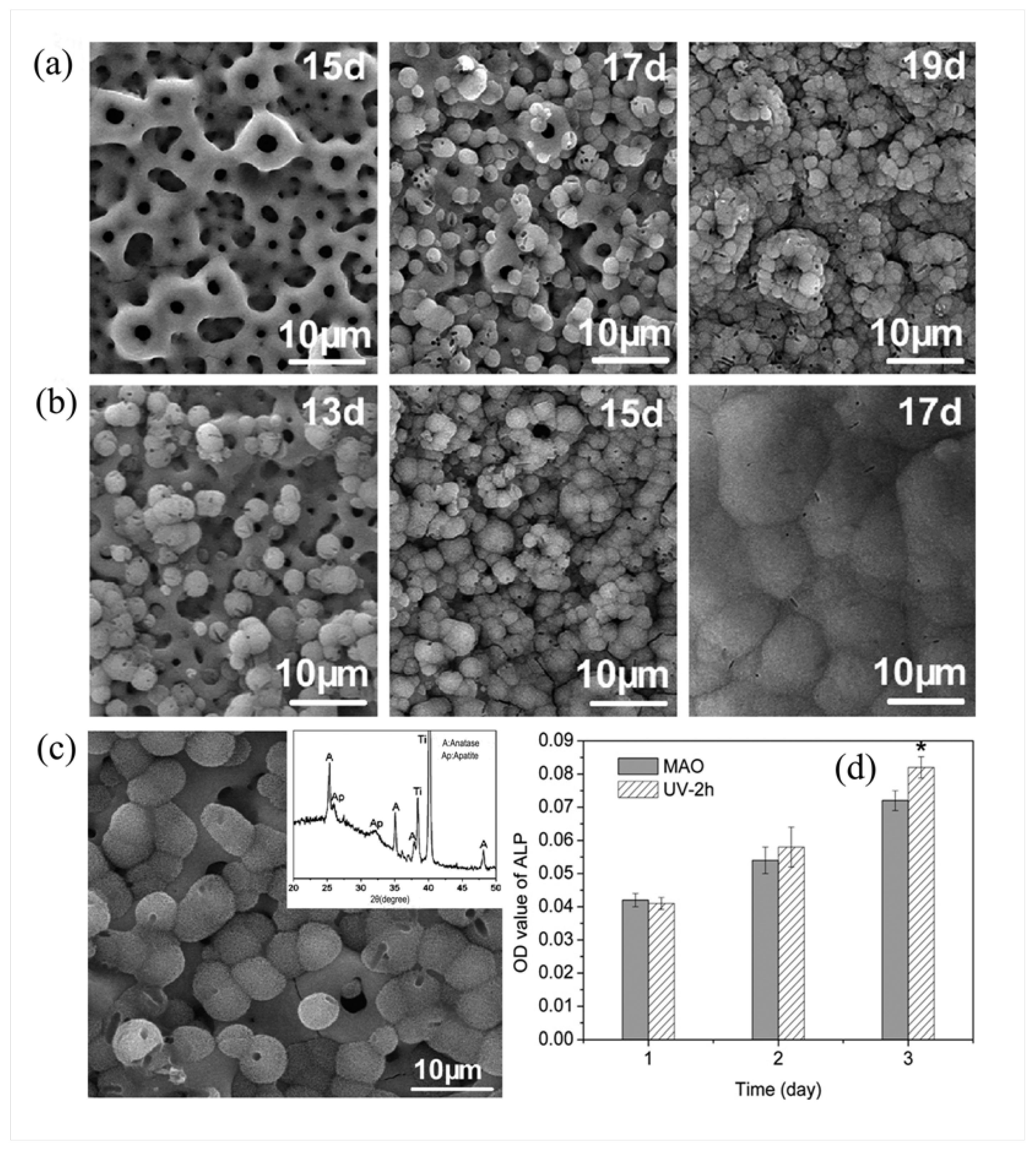Coatings 15 01201 g005
