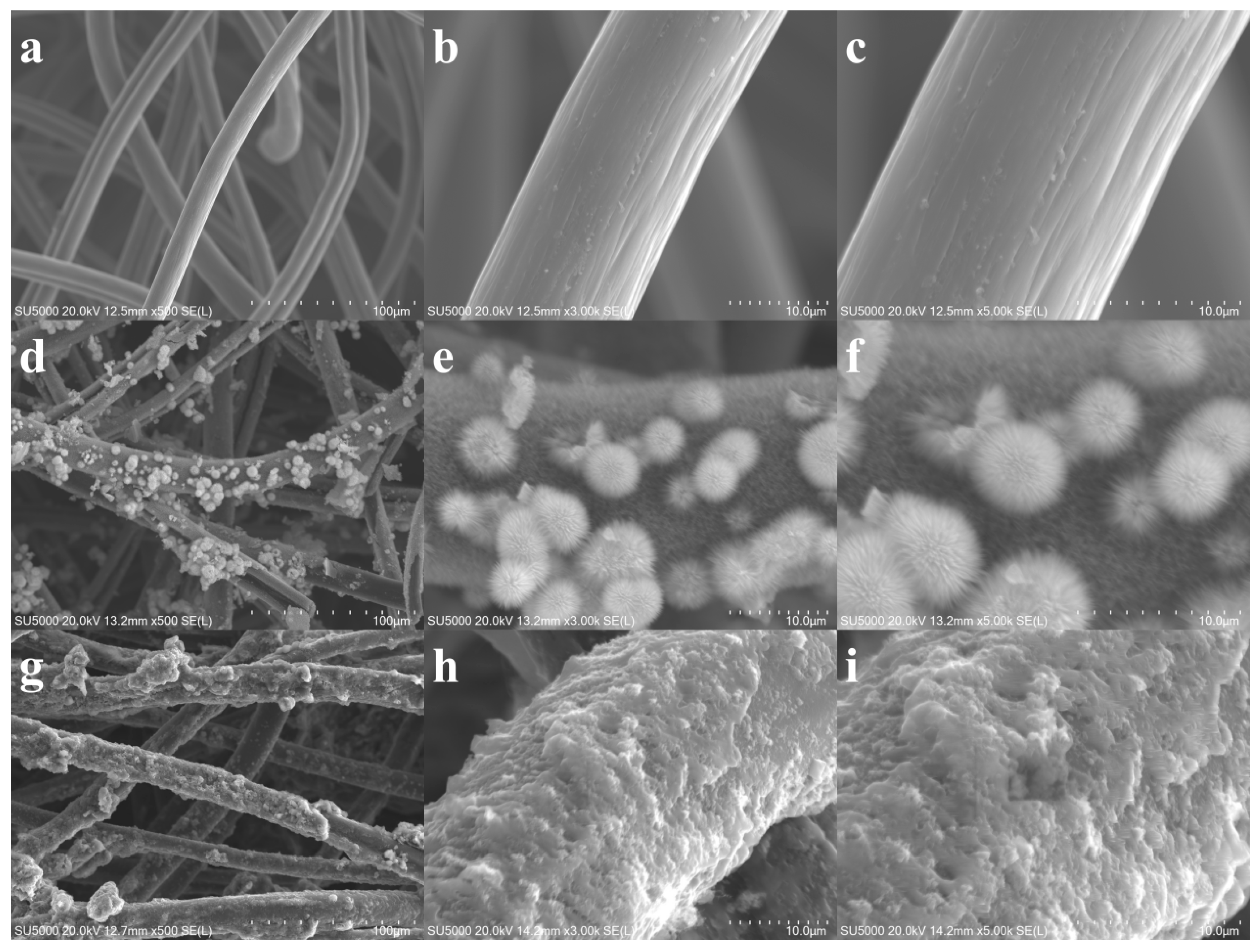 Coatings 15 01208 g001