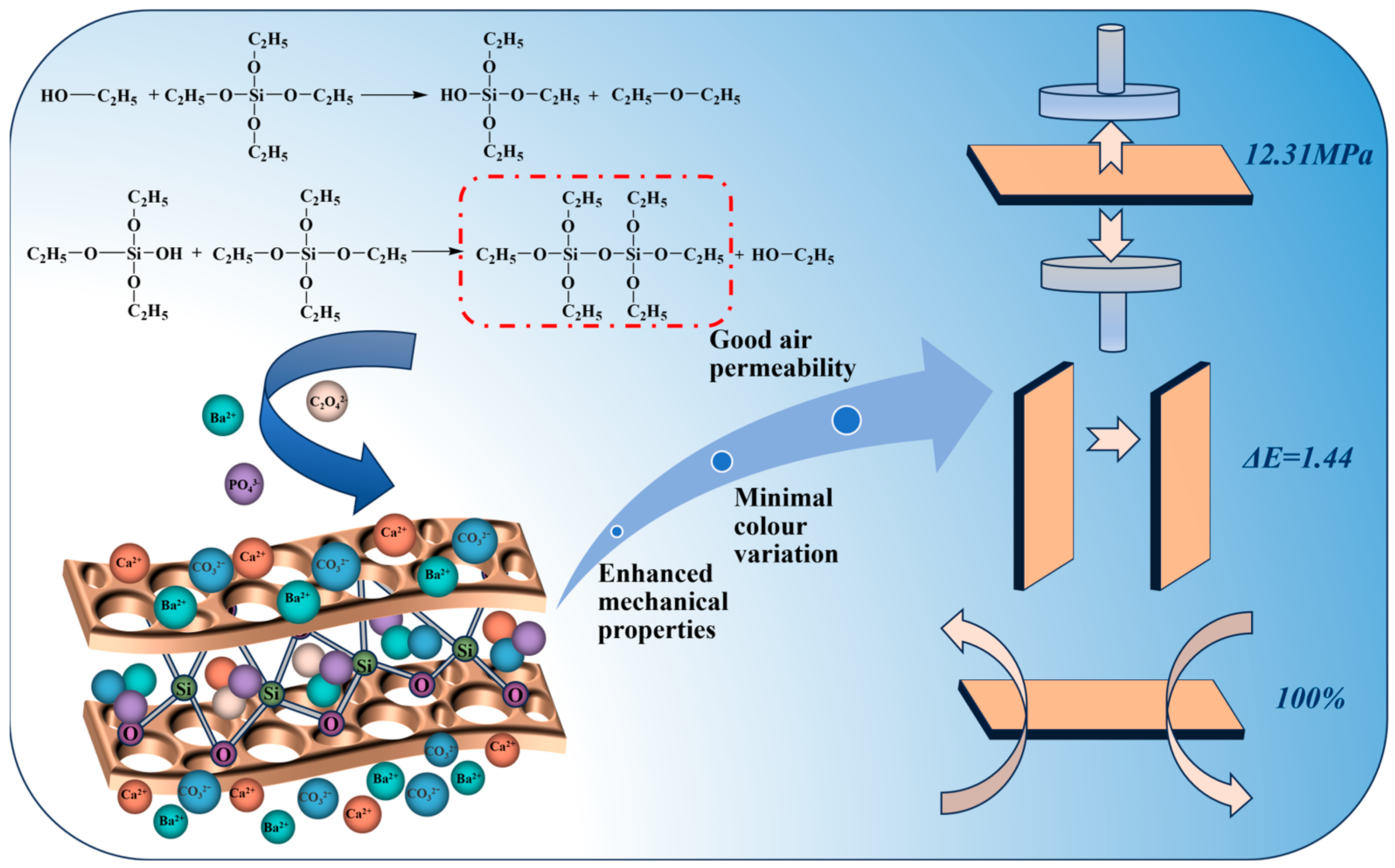 Coatings 15 01209 g010