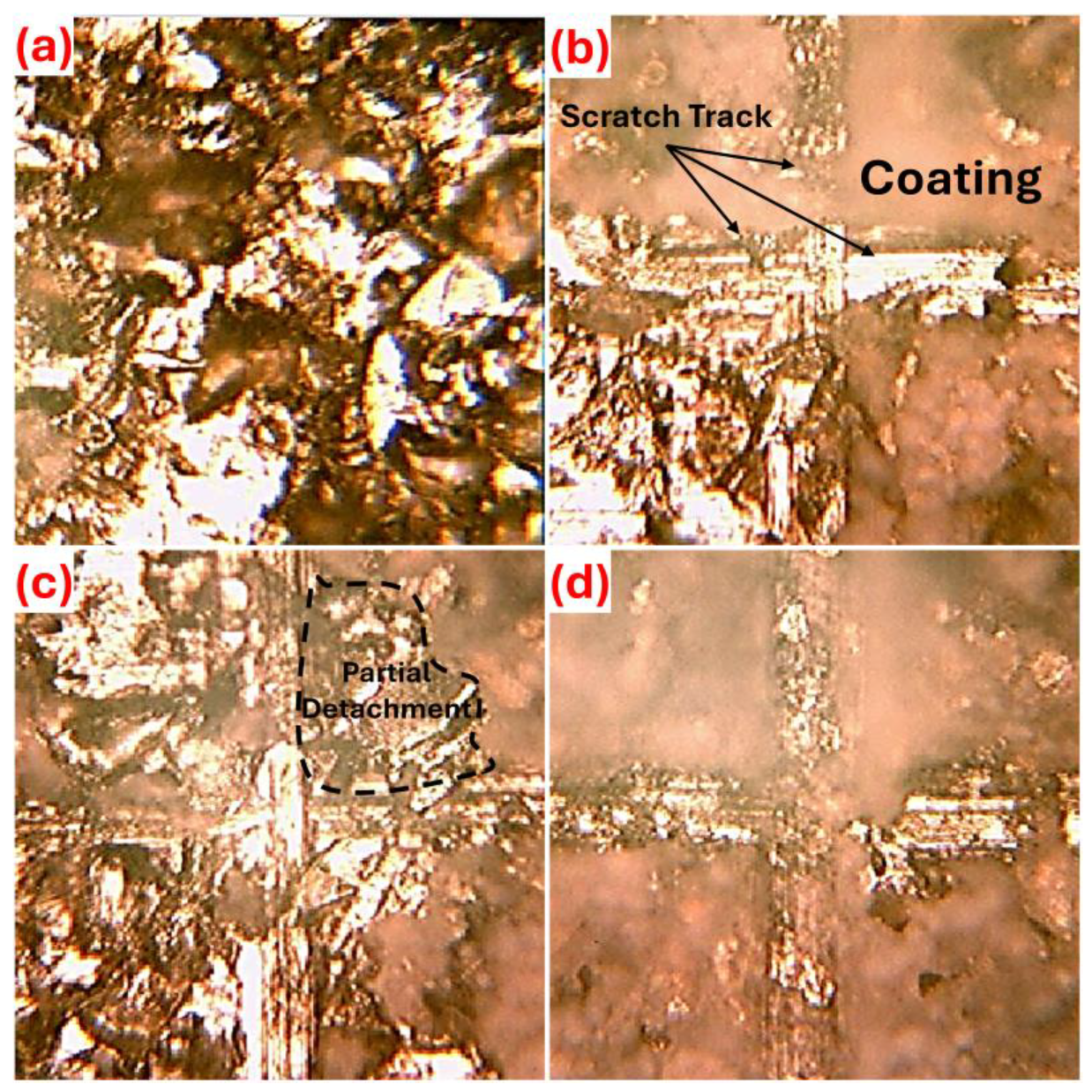 Coatings 15 01210 g005
