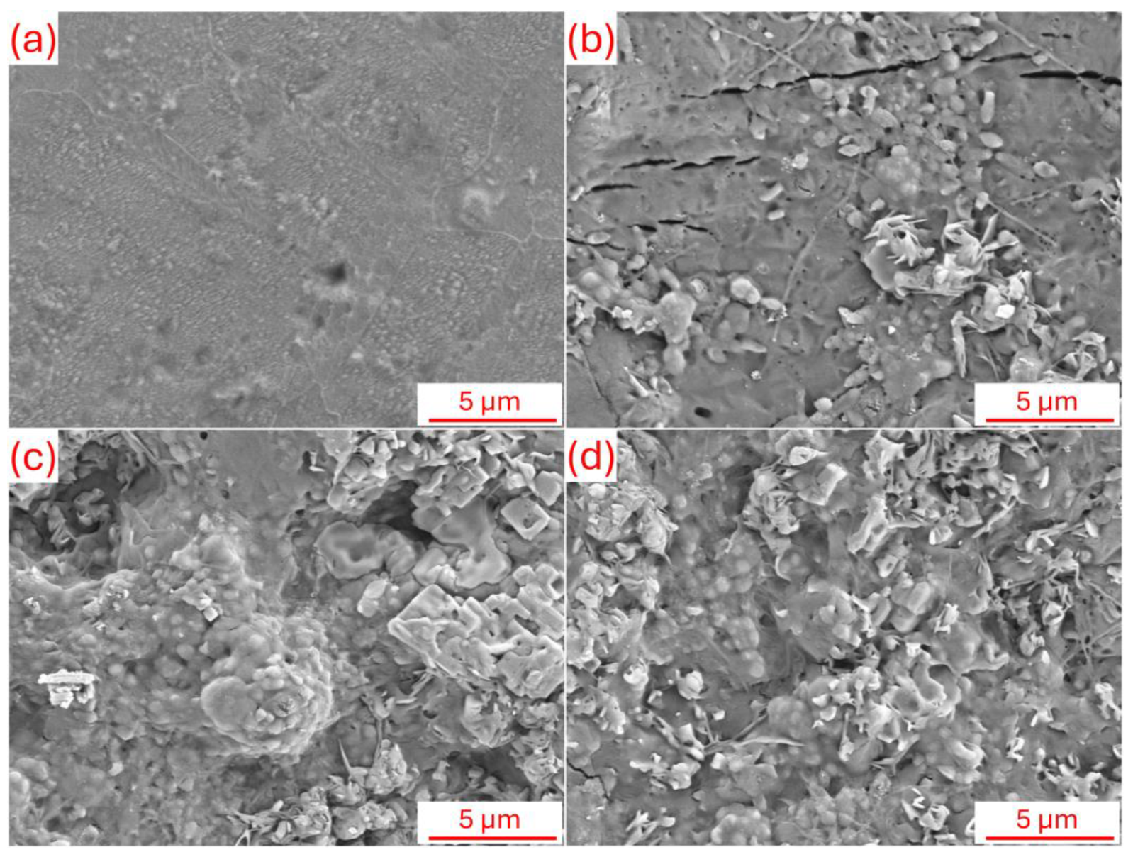 Coatings 15 01210 g009