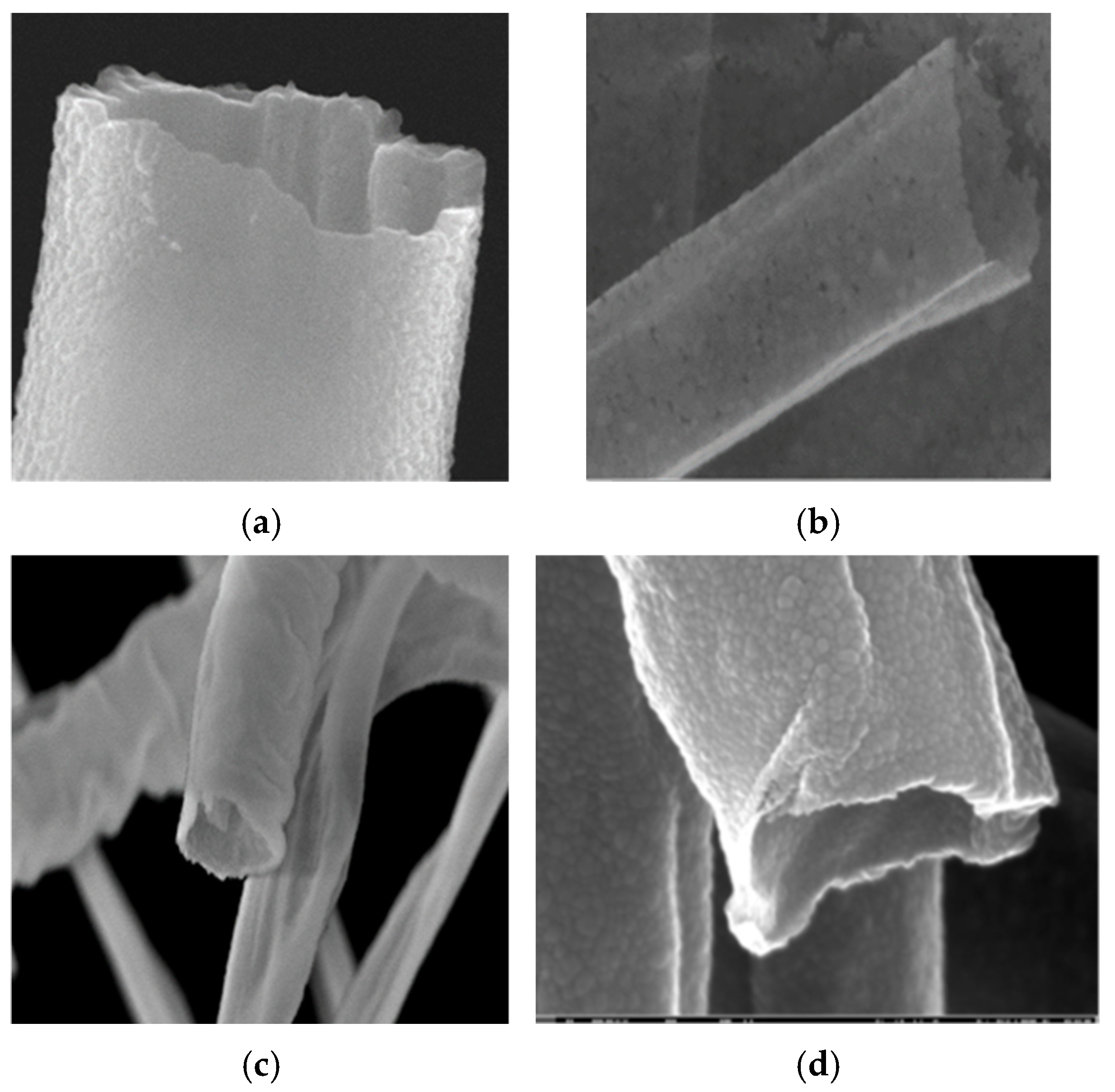 Coatings 15 01211 g001