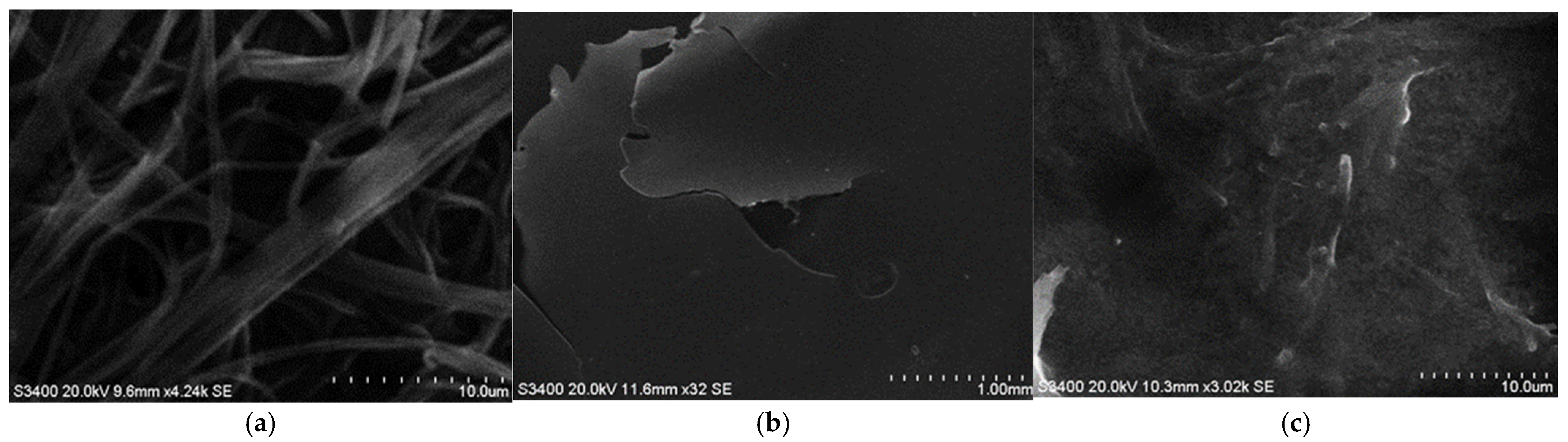 Coatings 15 01211 g003