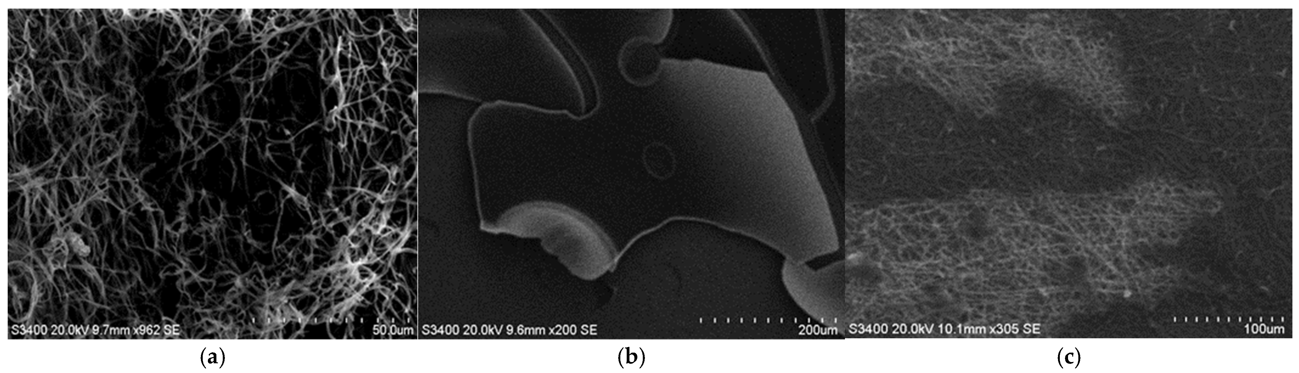 Coatings 15 01211 g004