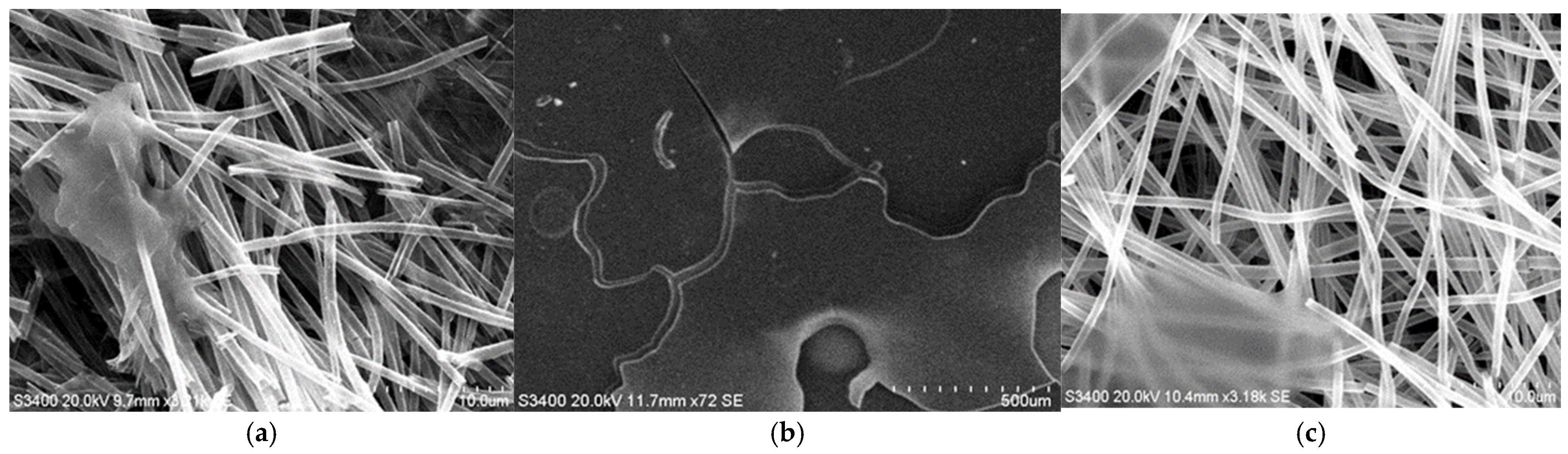 Coatings 15 01211 g005