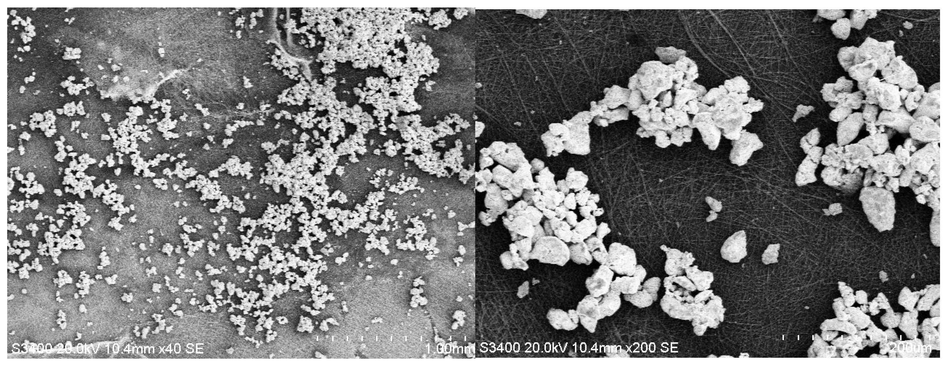 Coatings 15 01211 g007
