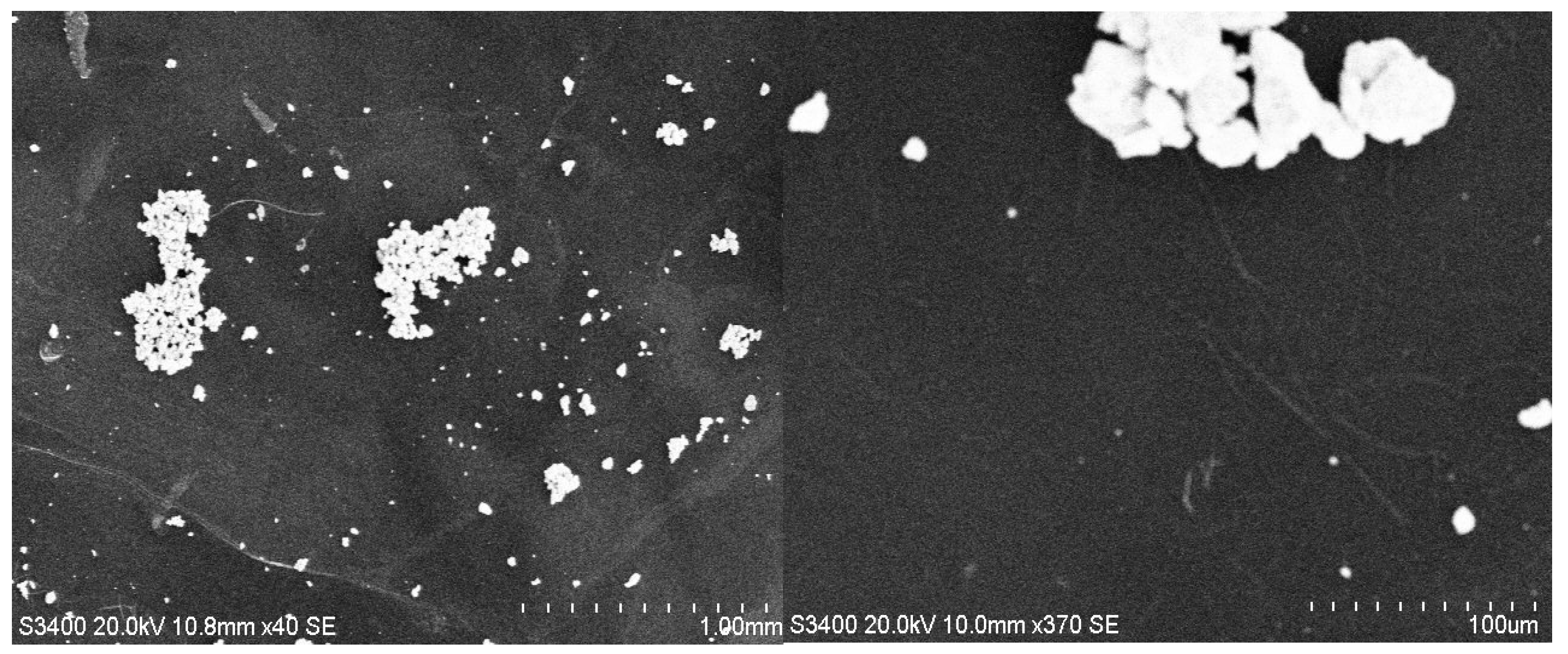 Coatings 15 01211 g008