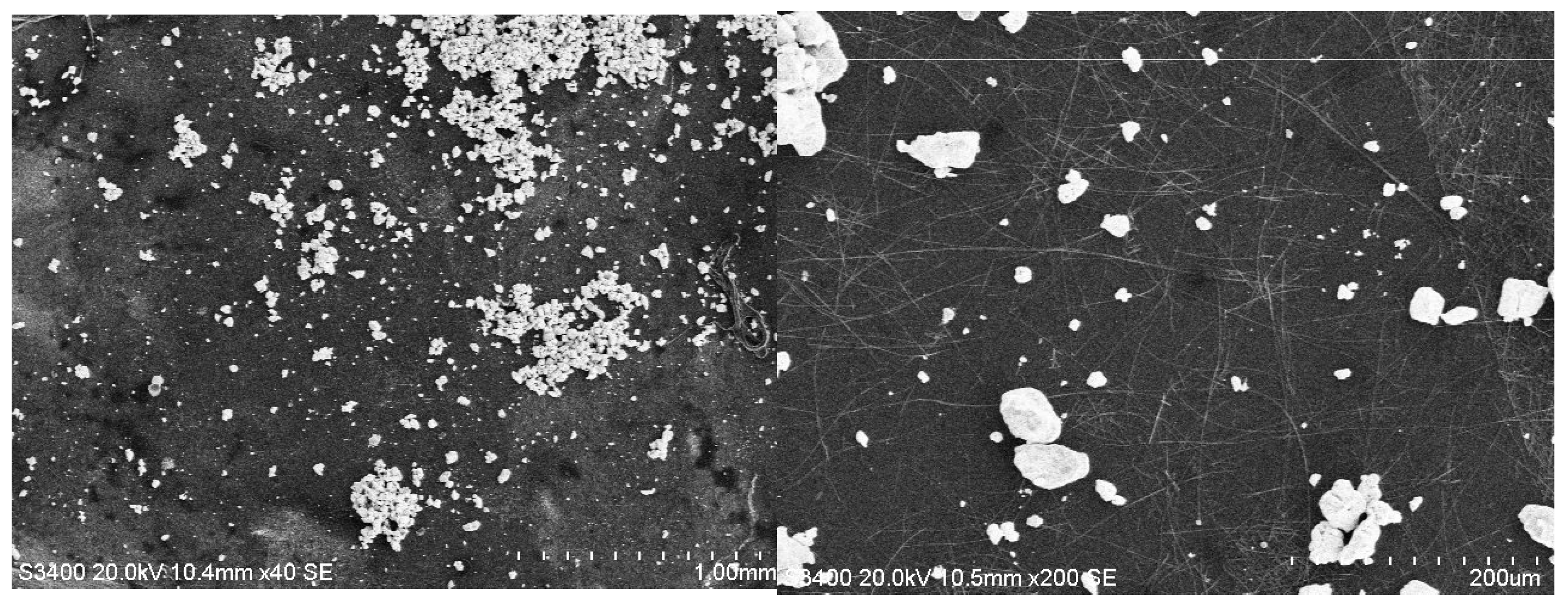 Coatings 15 01211 g009