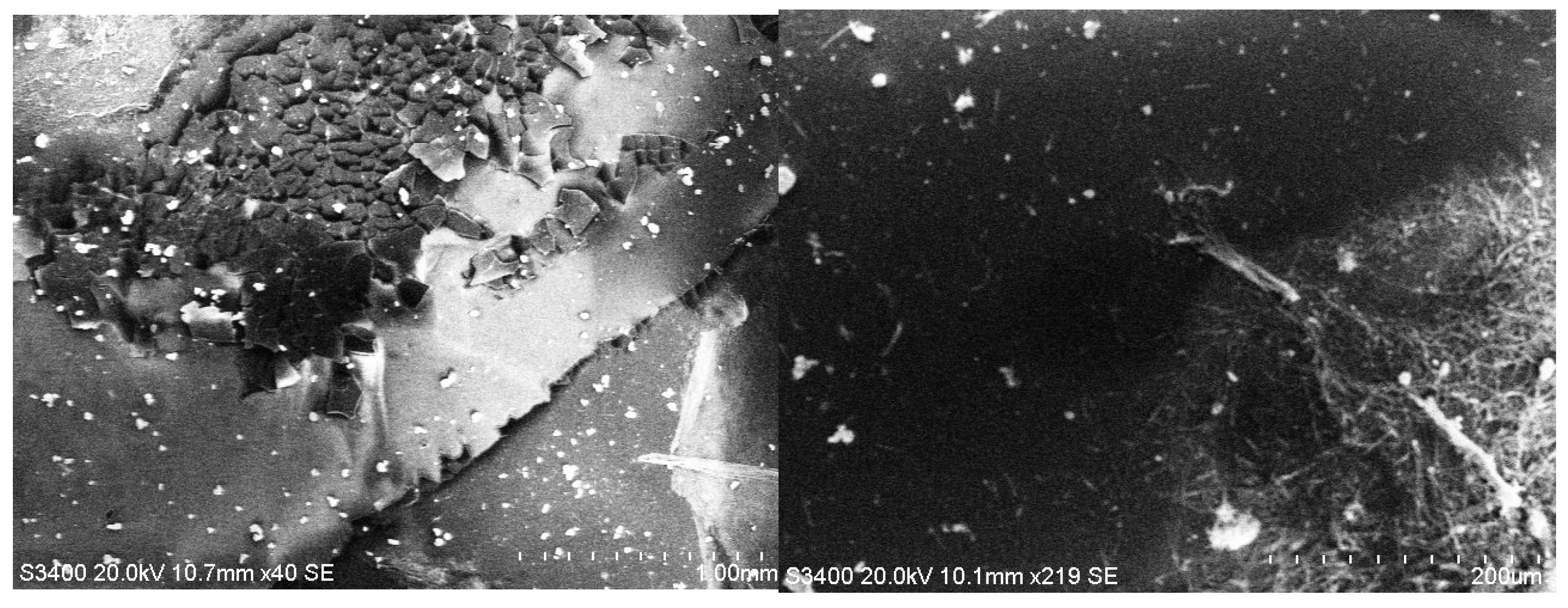 Coatings 15 01211 g010