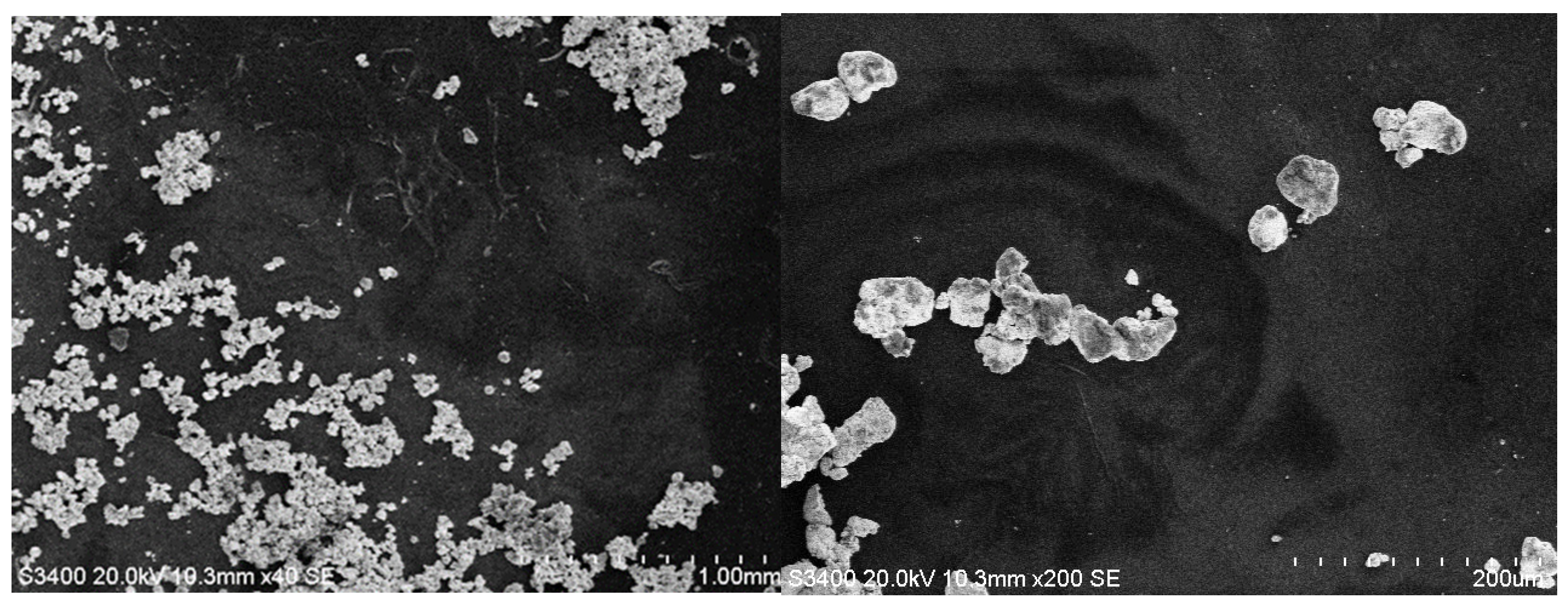 Coatings 15 01211 g012