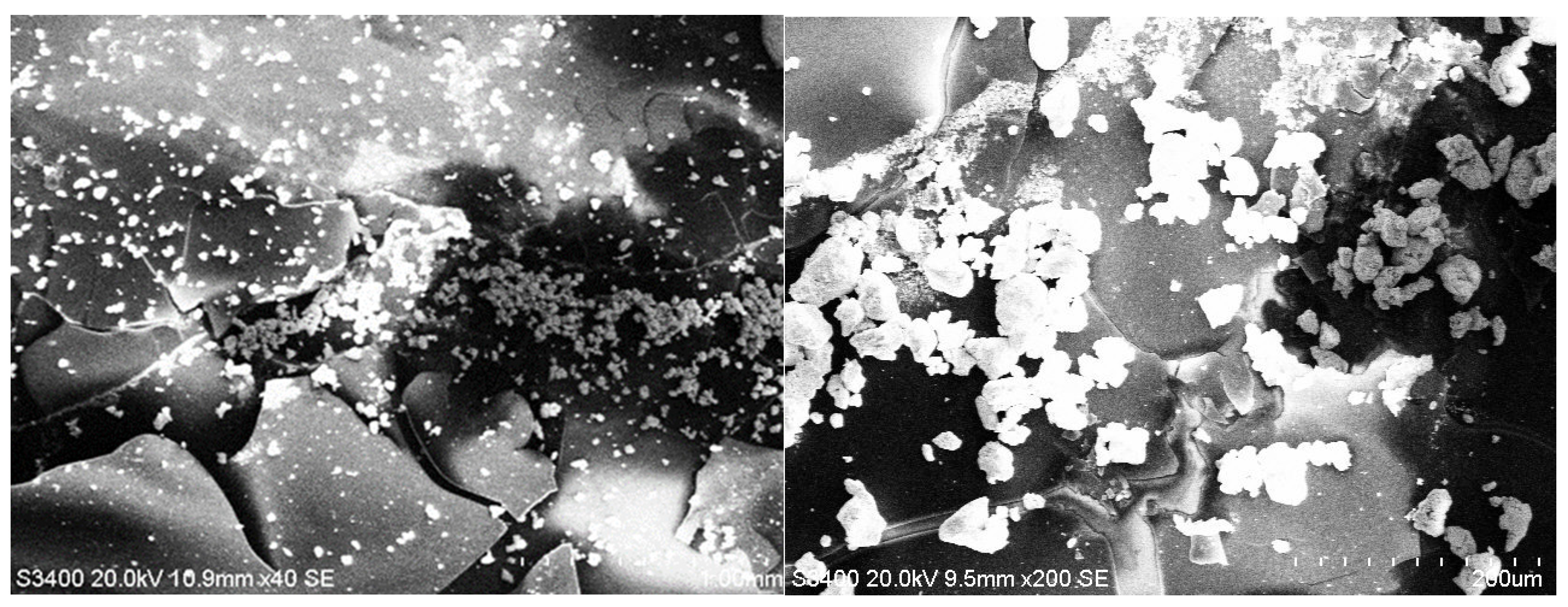 Coatings 15 01211 g013