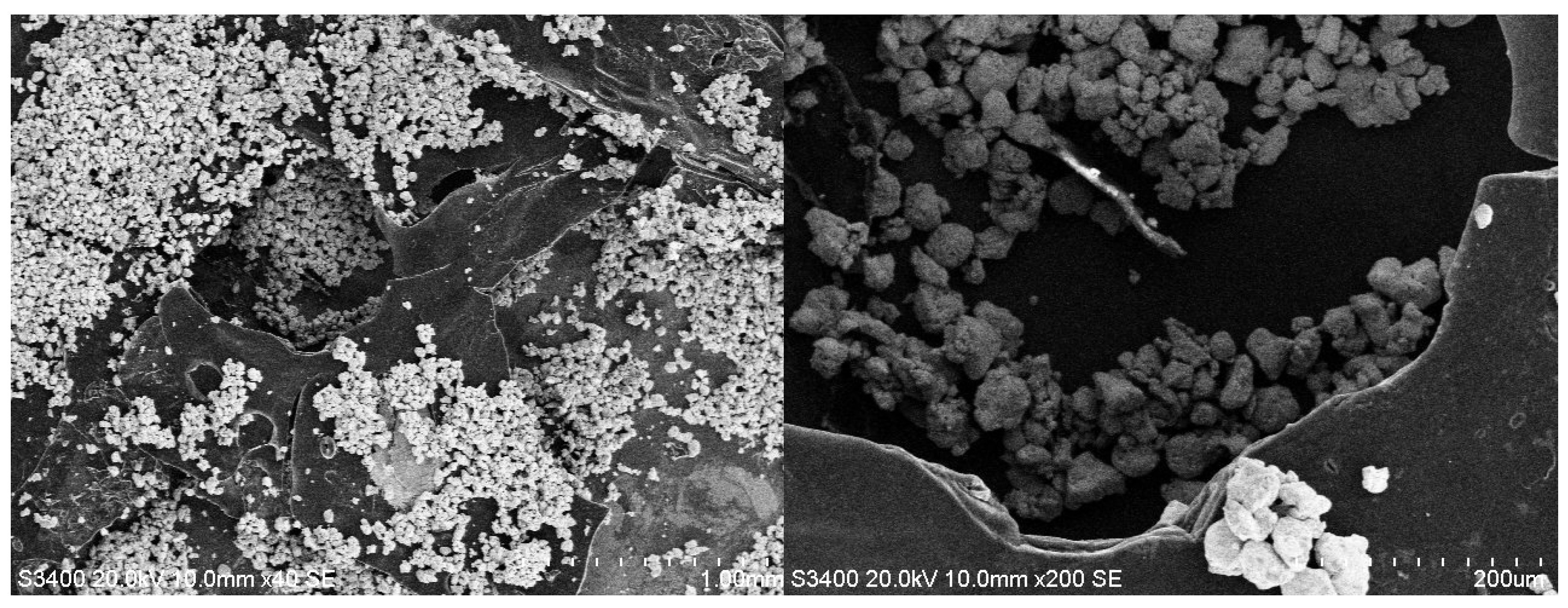 Coatings 15 01211 g014