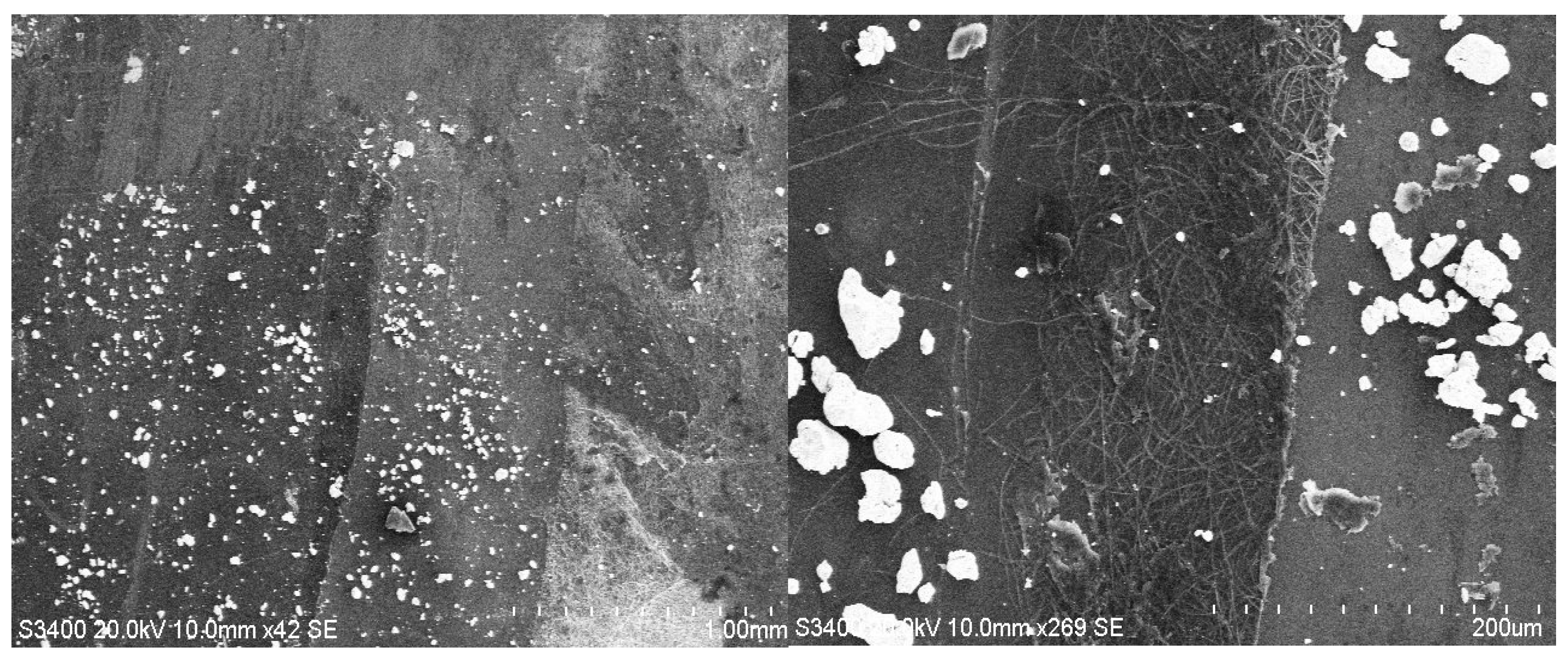 Coatings 15 01211 g015