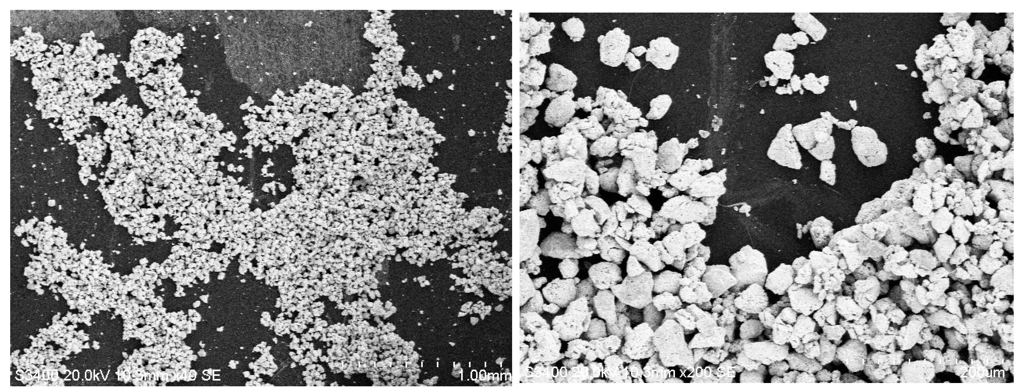 Coatings 15 01211 g018