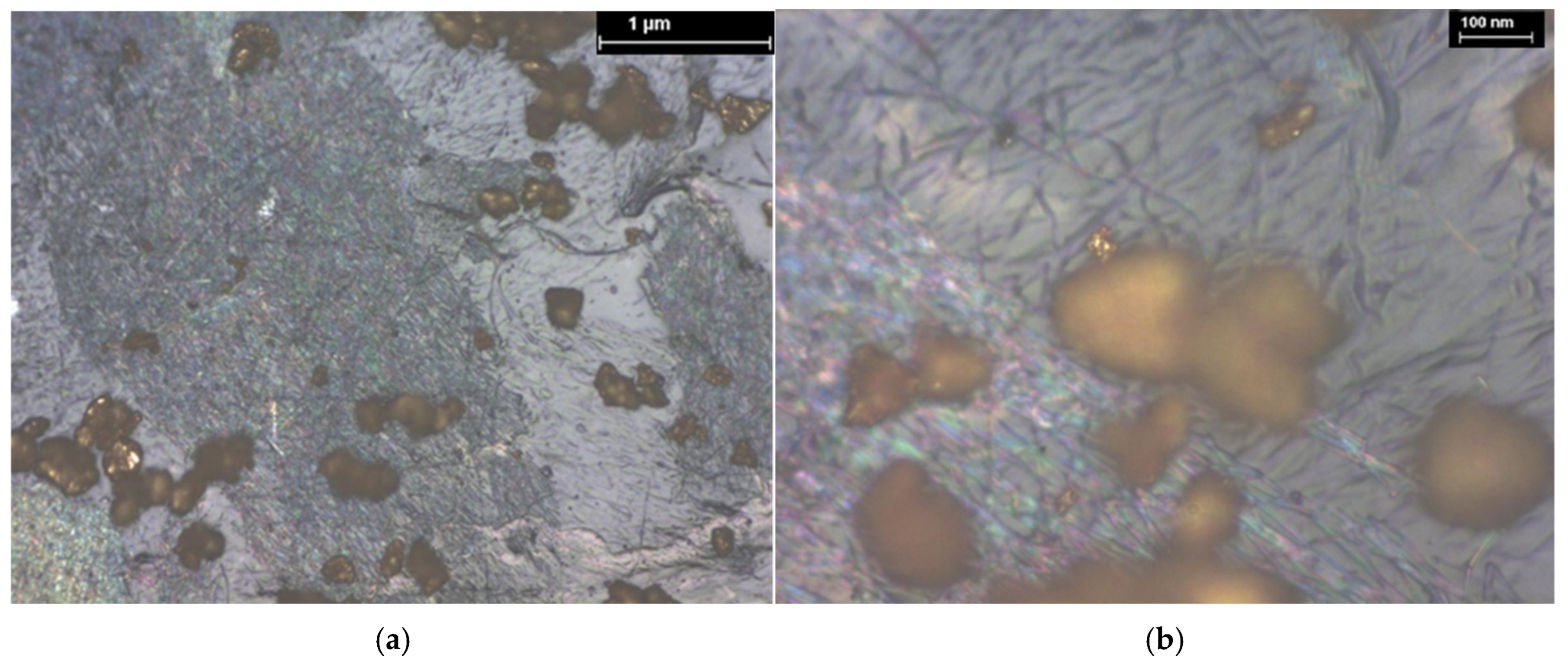 Coatings 15 01211 g021