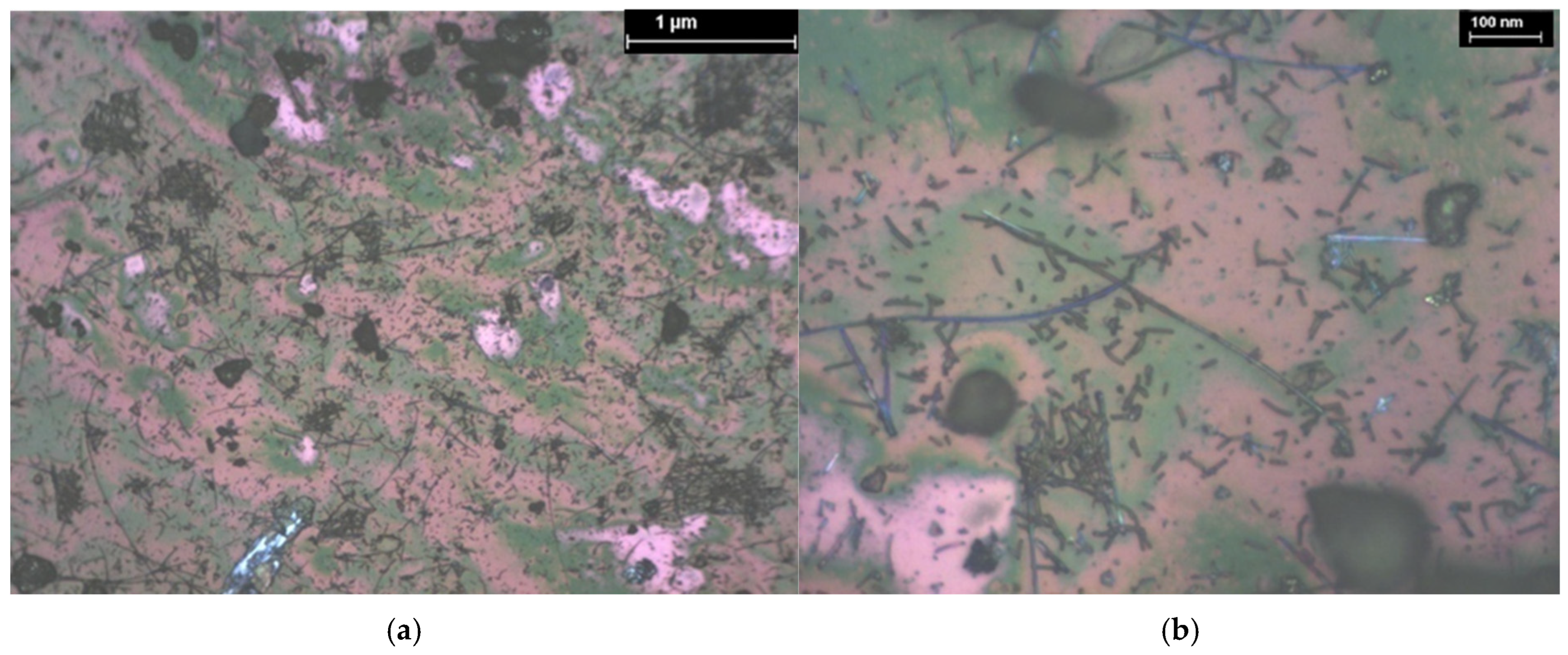 Coatings 15 01211 g022