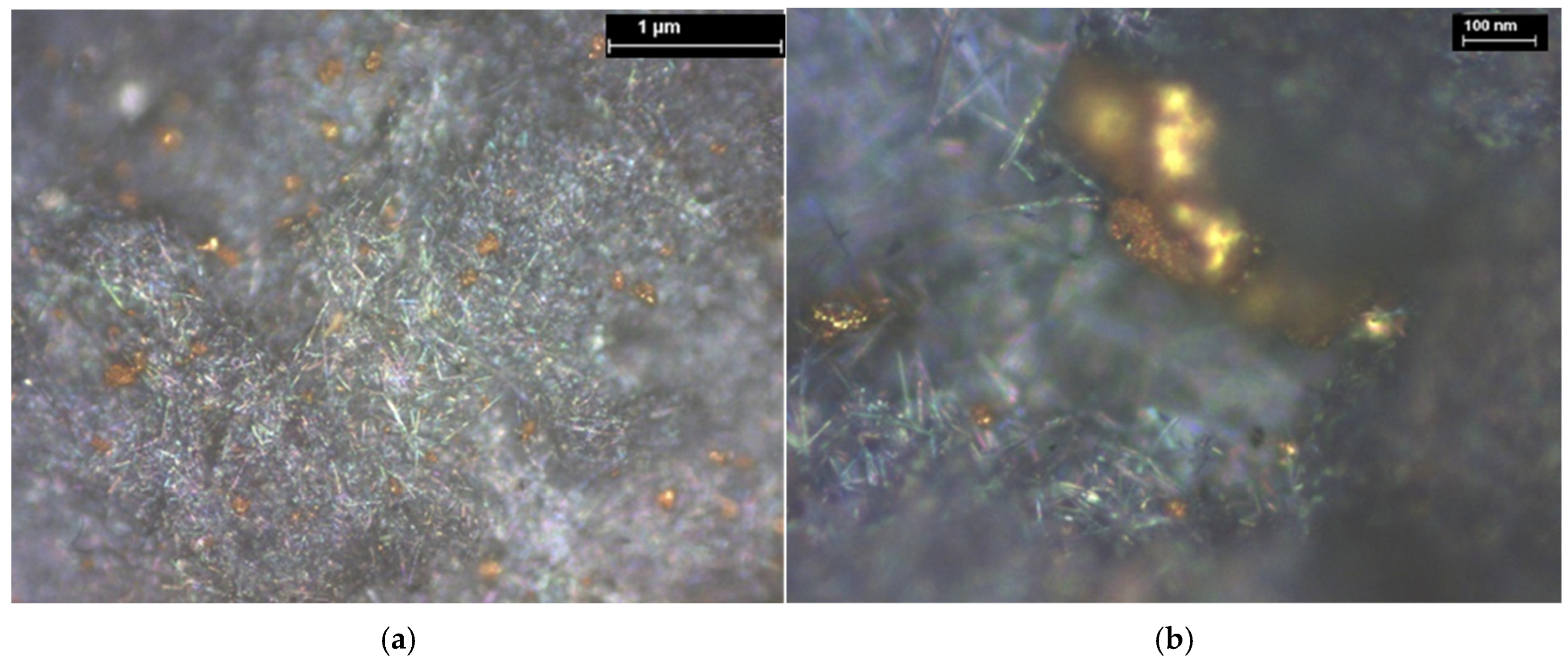 Coatings 15 01211 g023