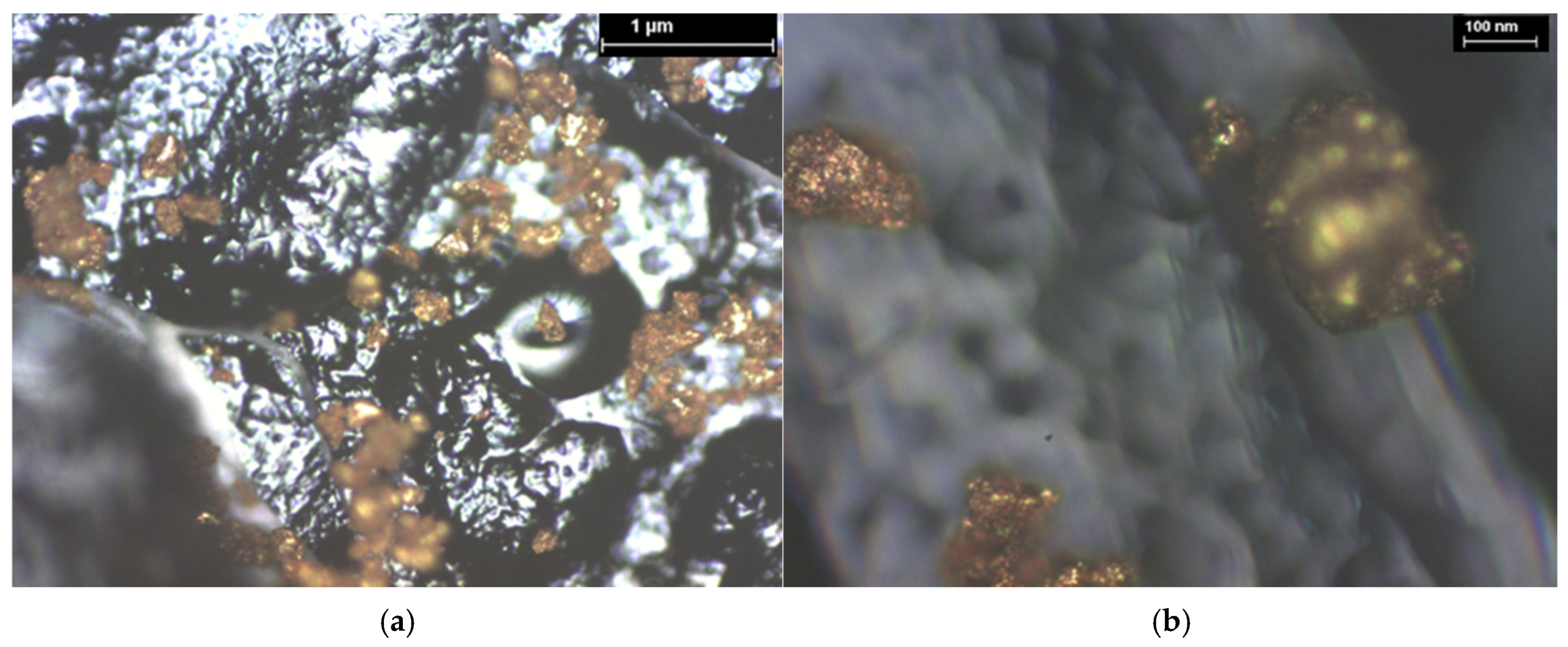 Coatings 15 01211 g024