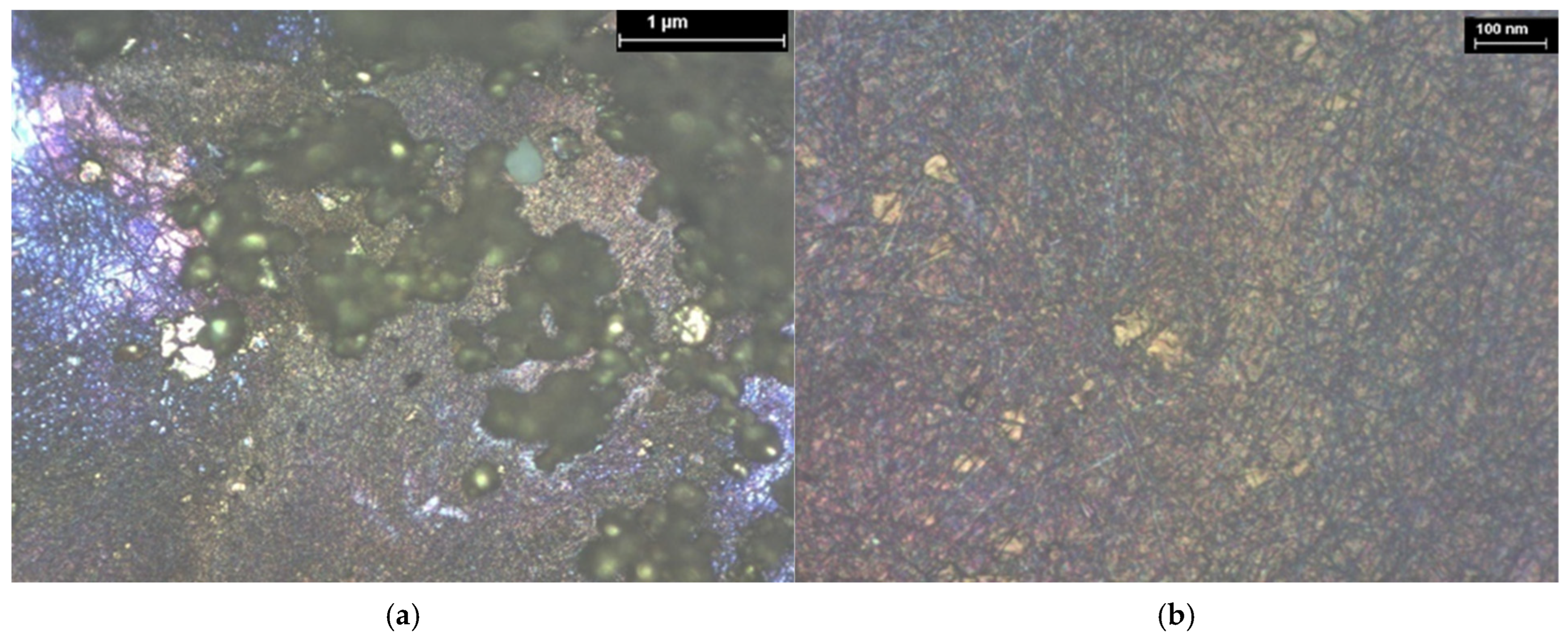 Coatings 15 01211 g025