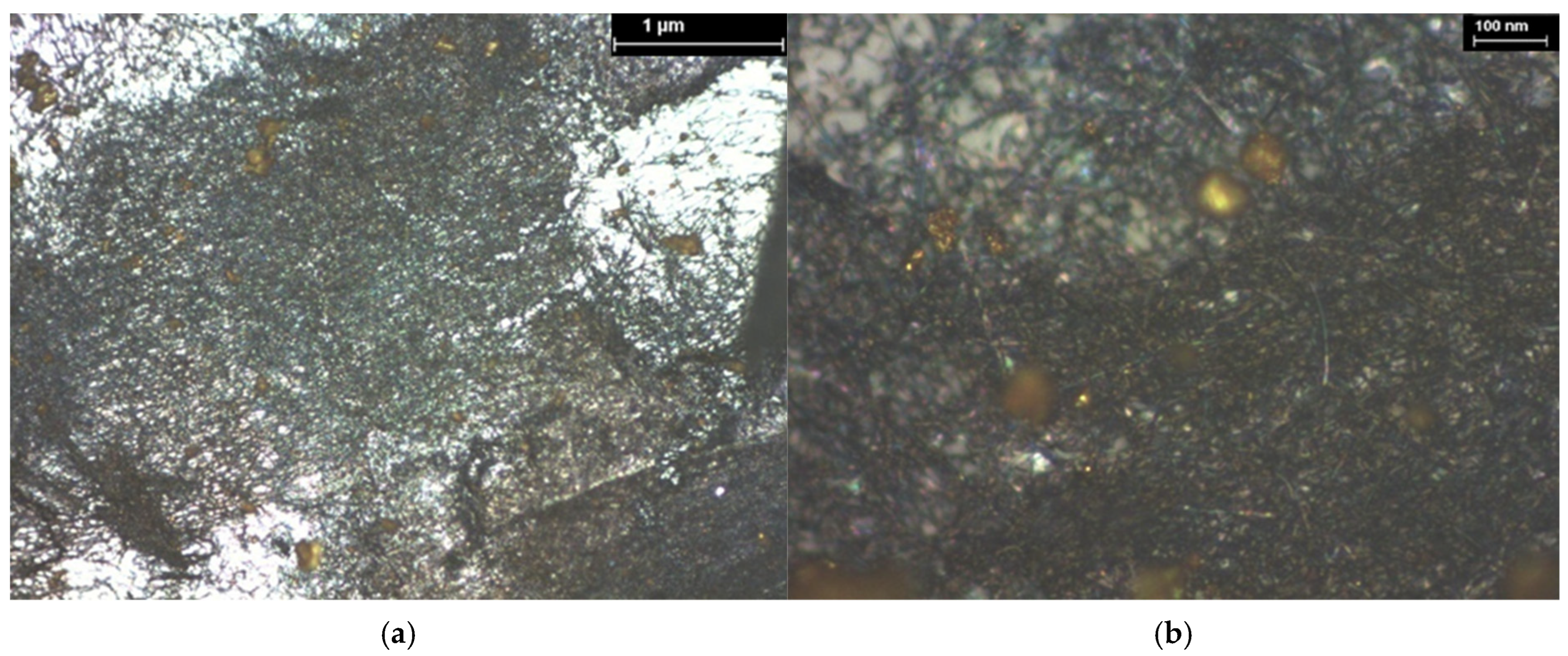 Coatings 15 01211 g026