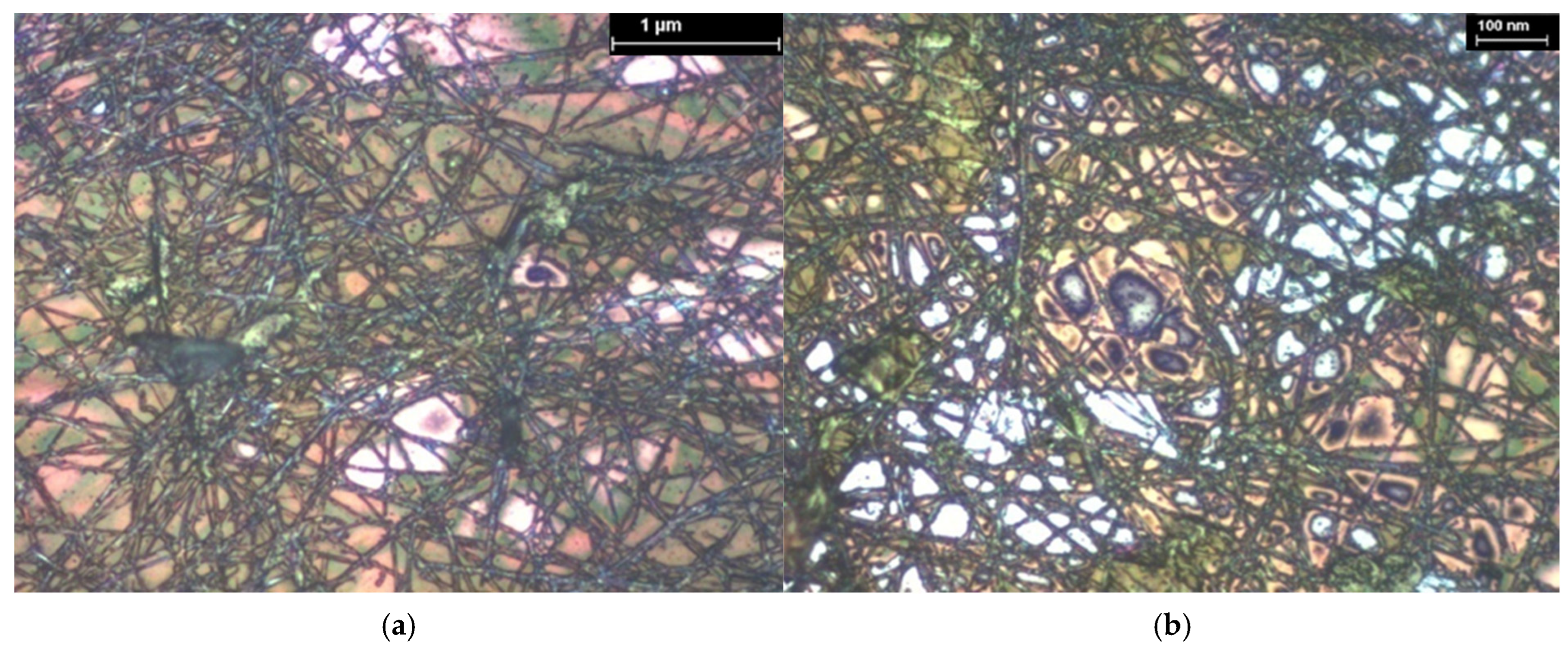 Coatings 15 01211 g028