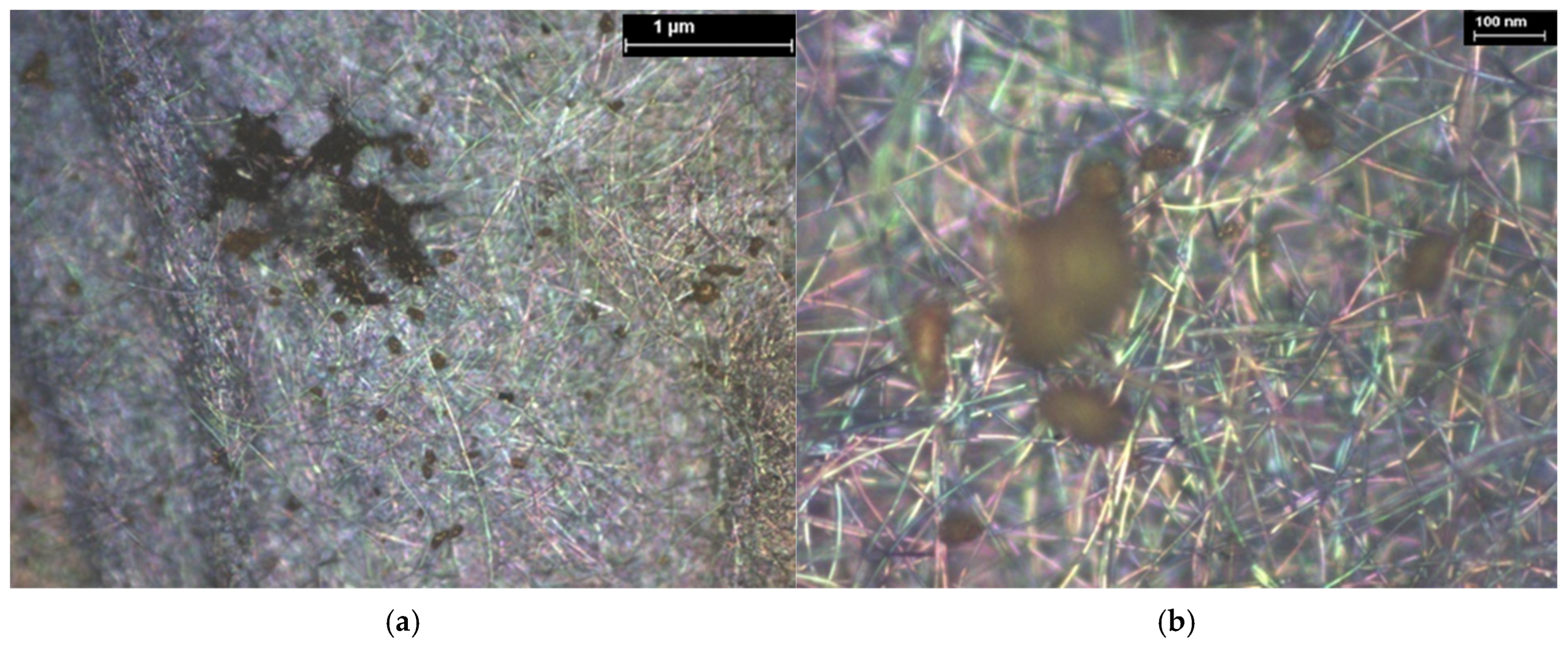 Coatings 15 01211 g029