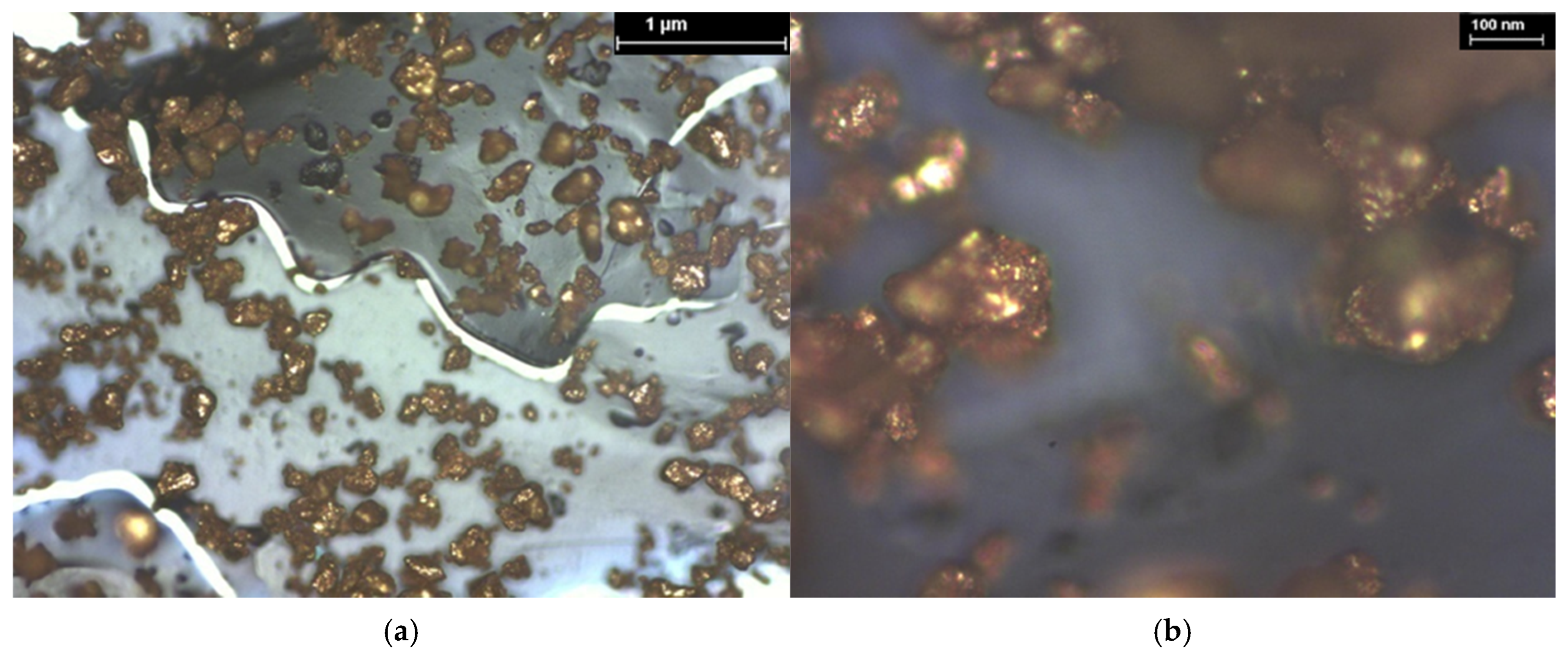 Coatings 15 01211 g030