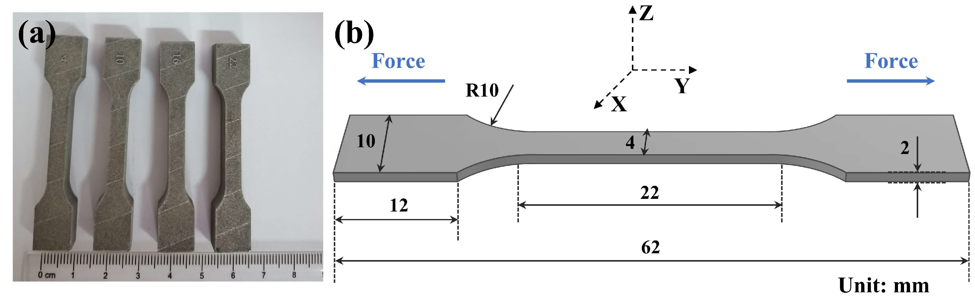 Coatings 15 01212 g002 Coatings 15 01212 g002