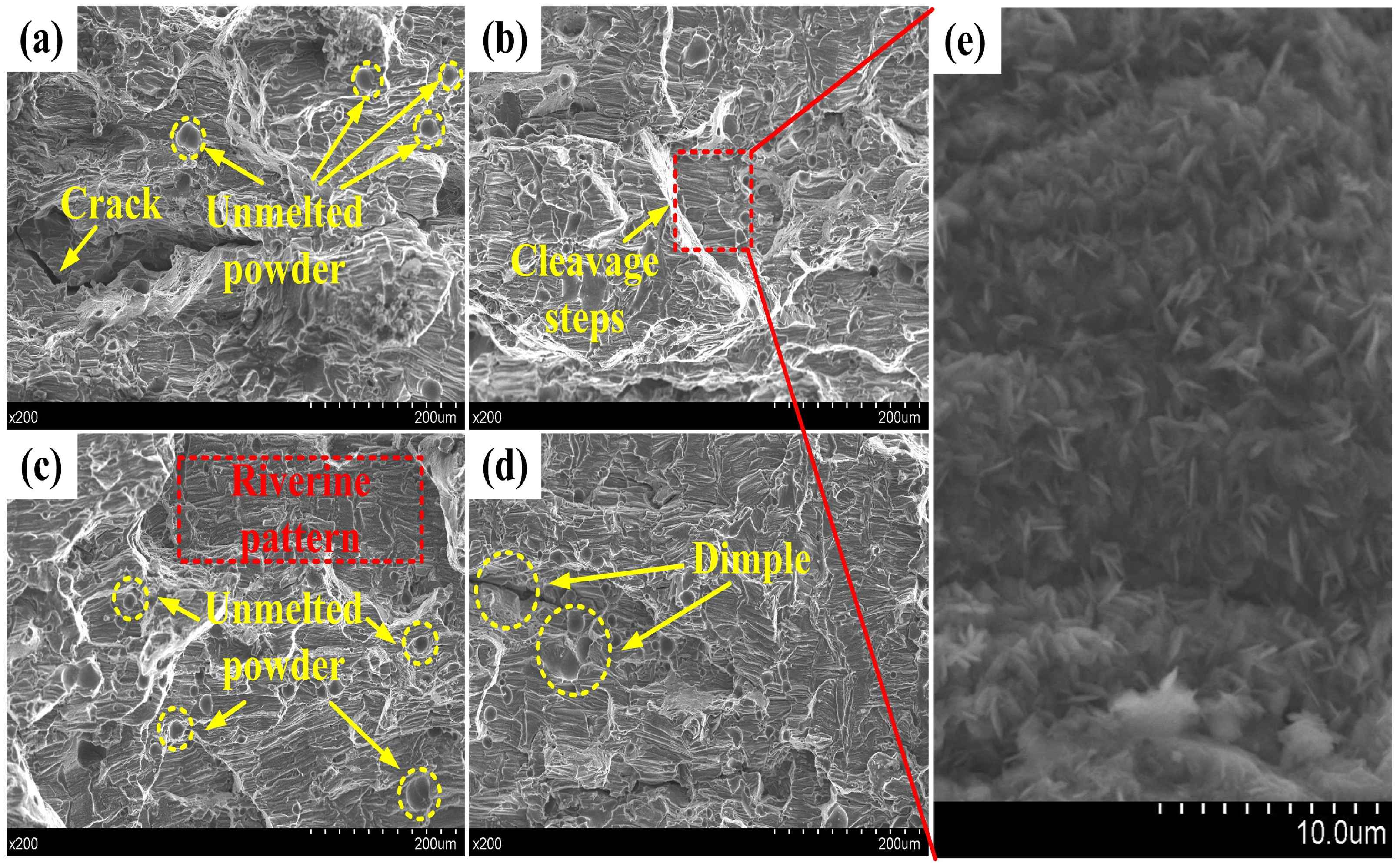 Coatings 15 01212 g013 Coatings 15 01212 g013