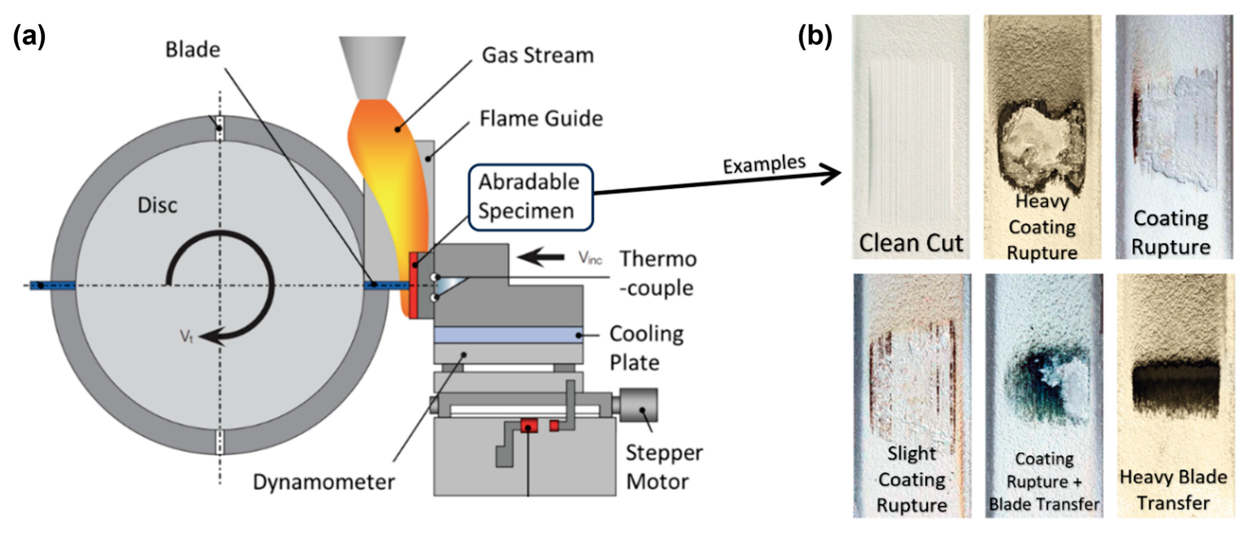 Coatings 15 01216 g010