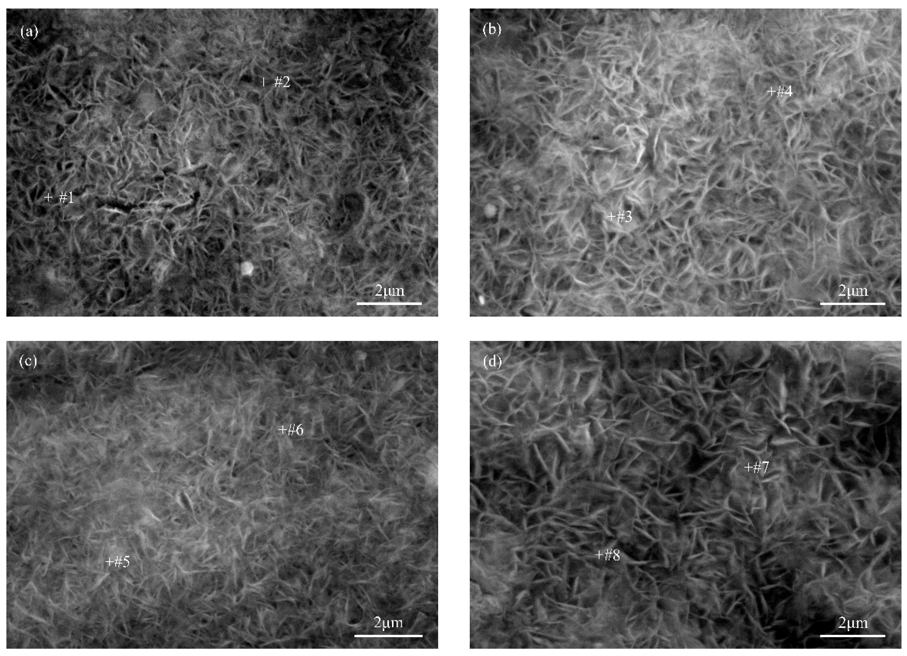 Coatings 15 01217 g002 Coatings 15 01217 g002