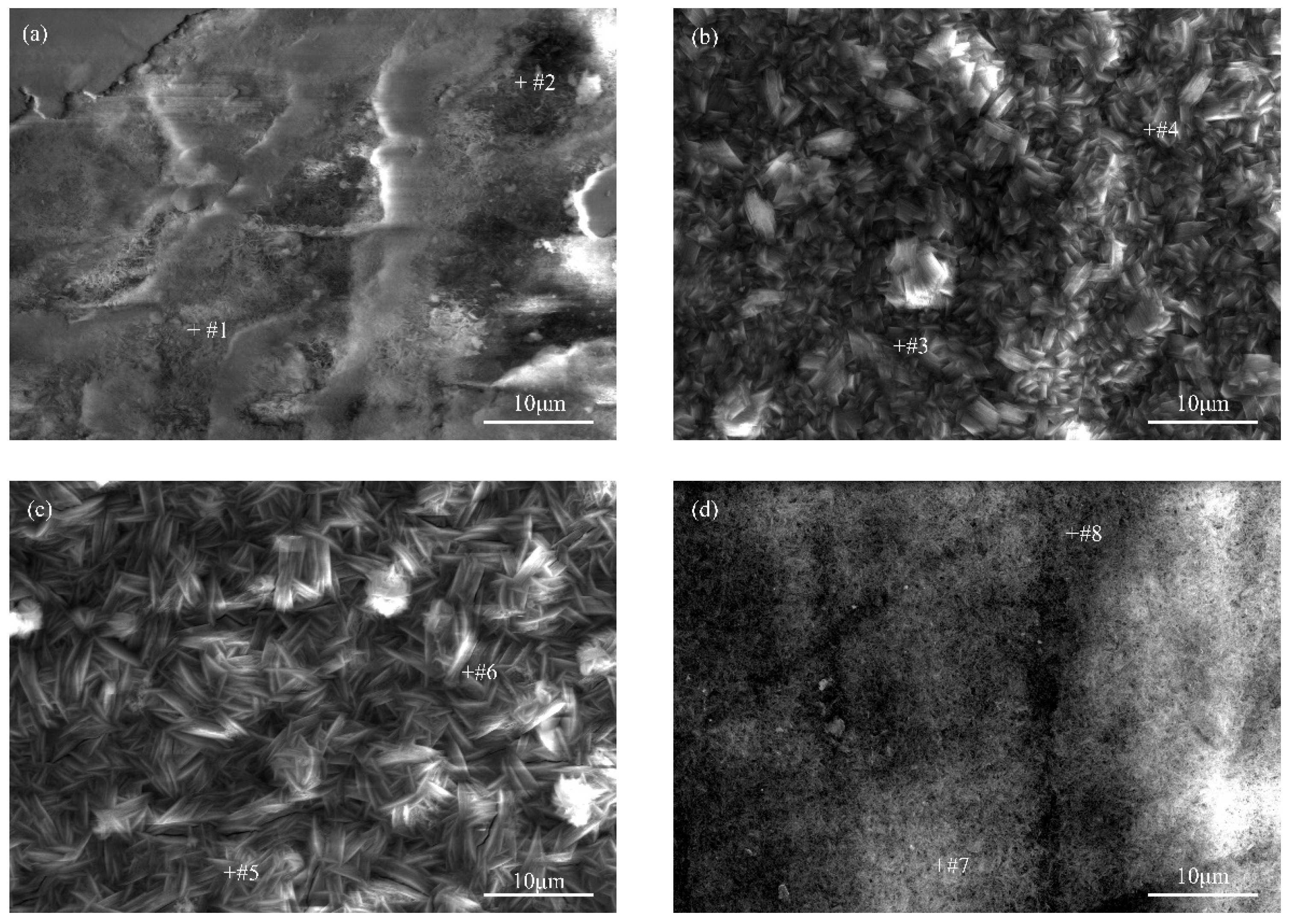 Coatings 15 01217 g007a Coatings 15 01217 g007a