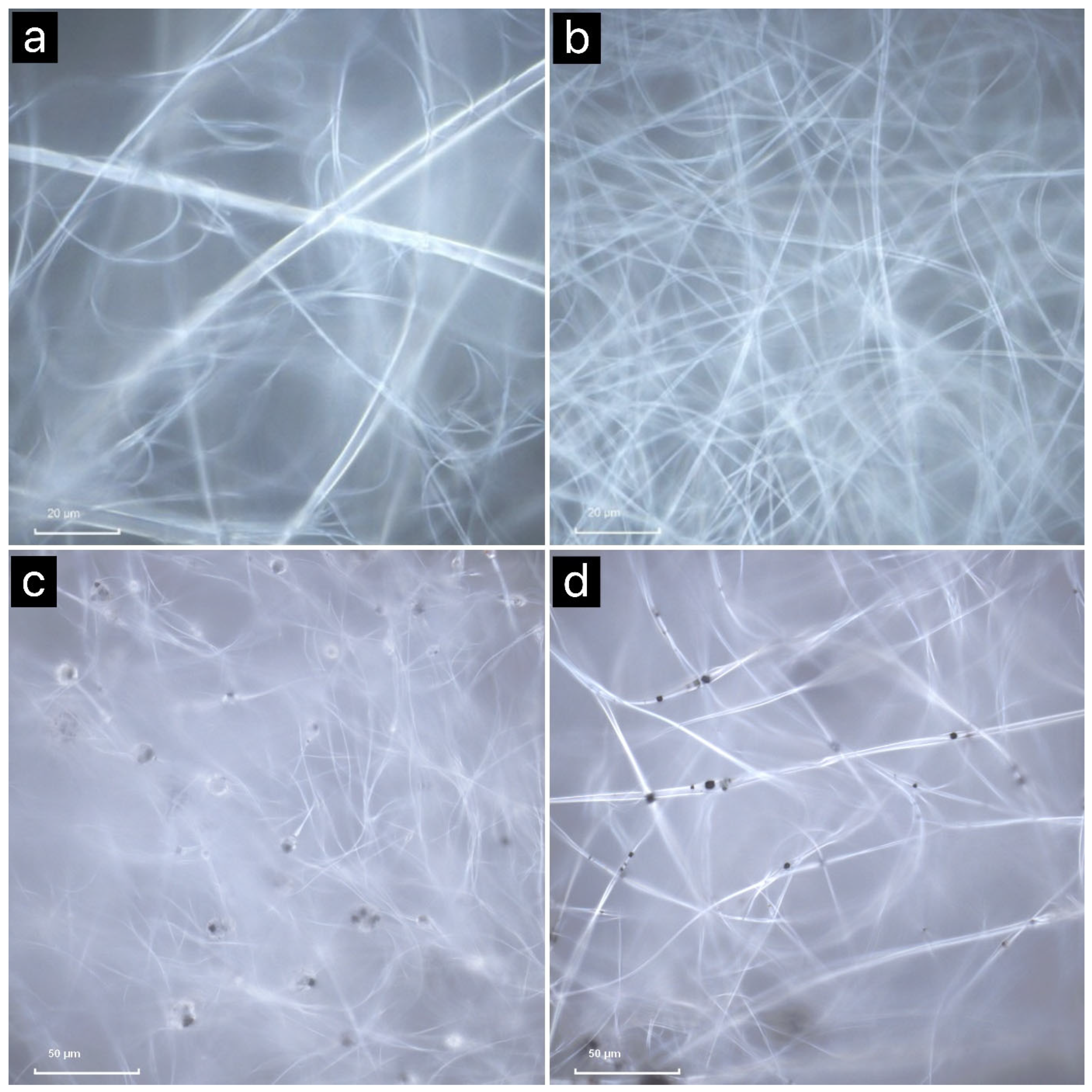 Coatings 15 01220 g007
